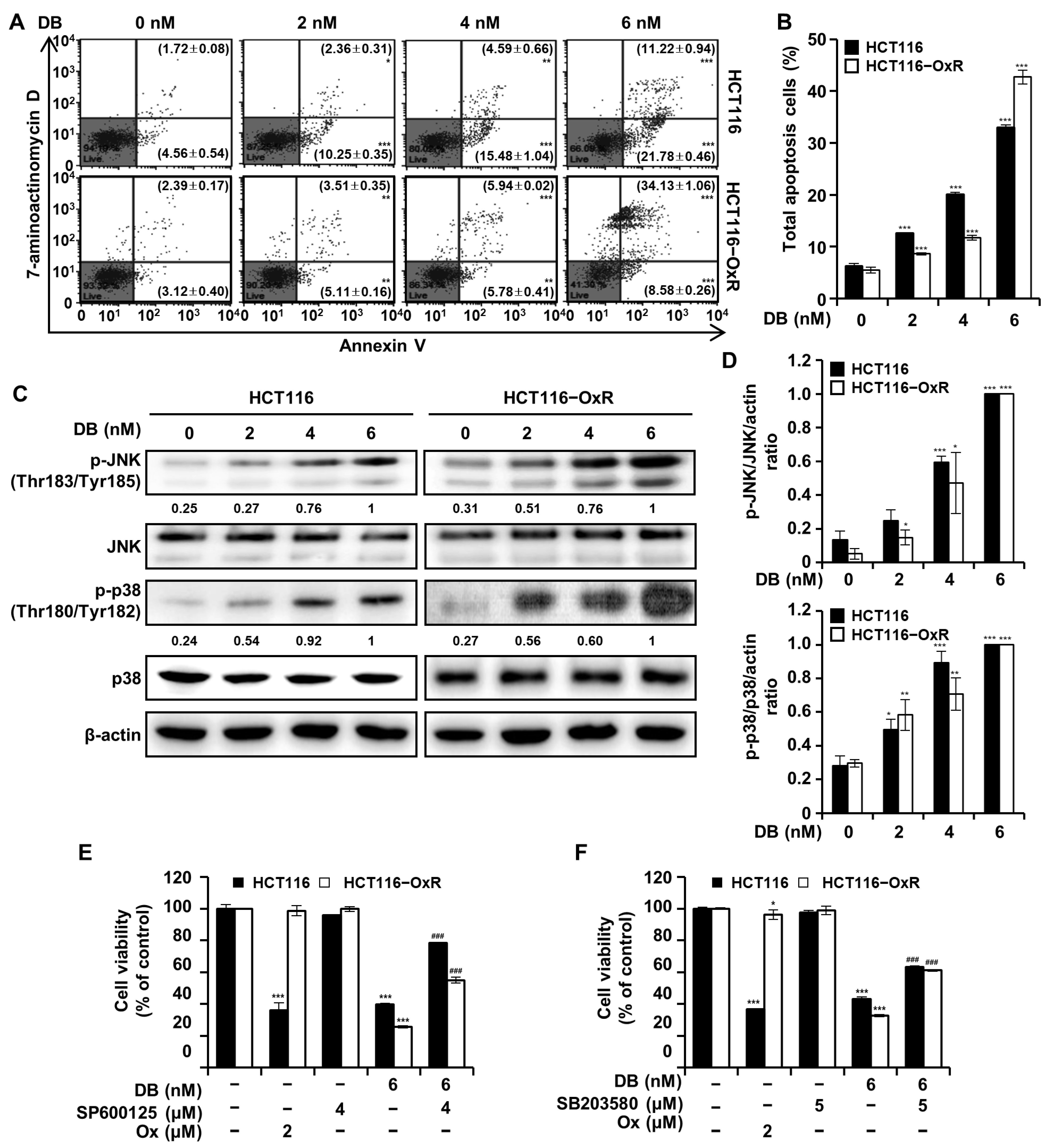 Antioxidants 13 00866 g002