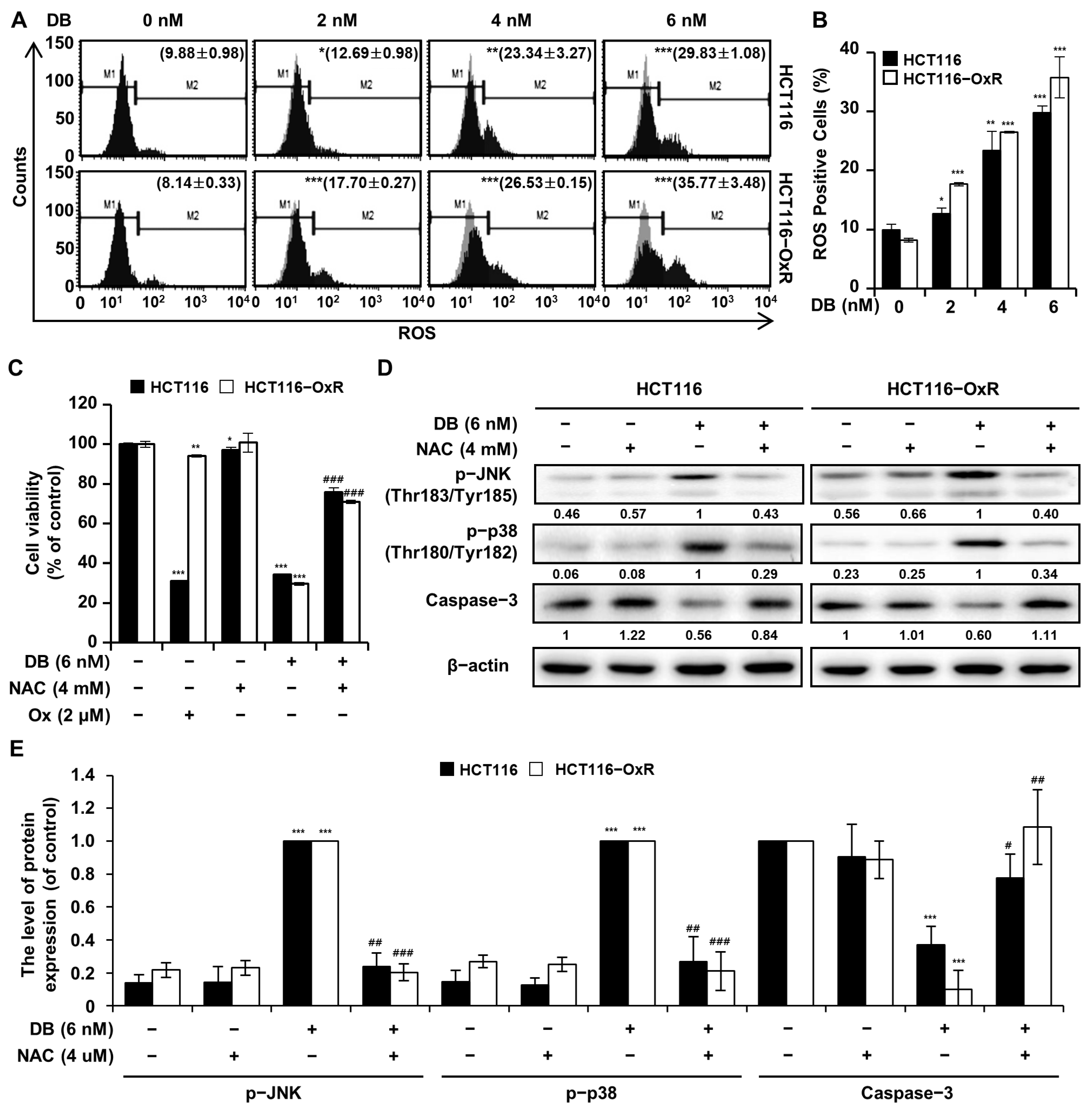 Antioxidants 13 00866 g003