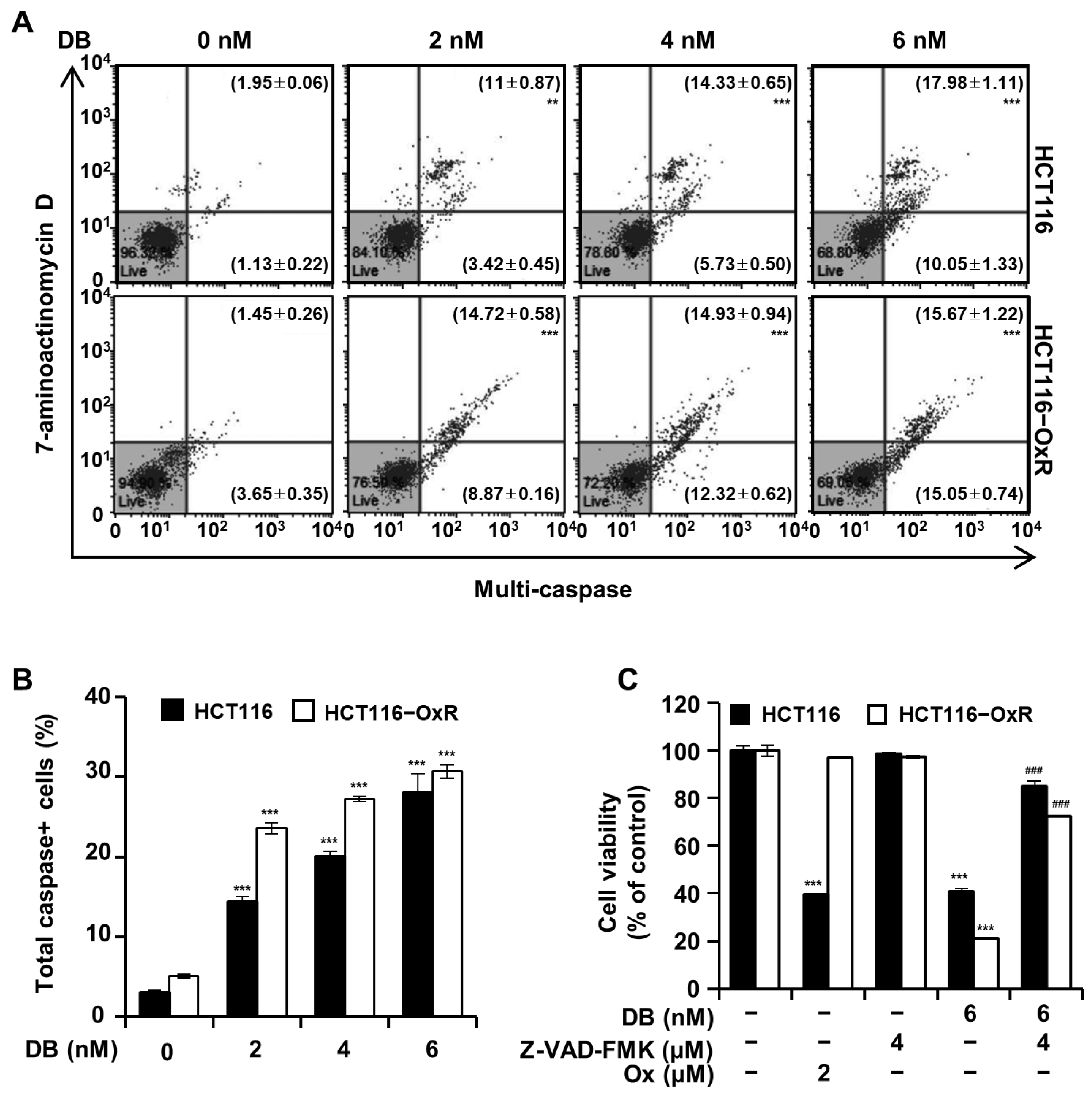 Antioxidants 13 00866 g006