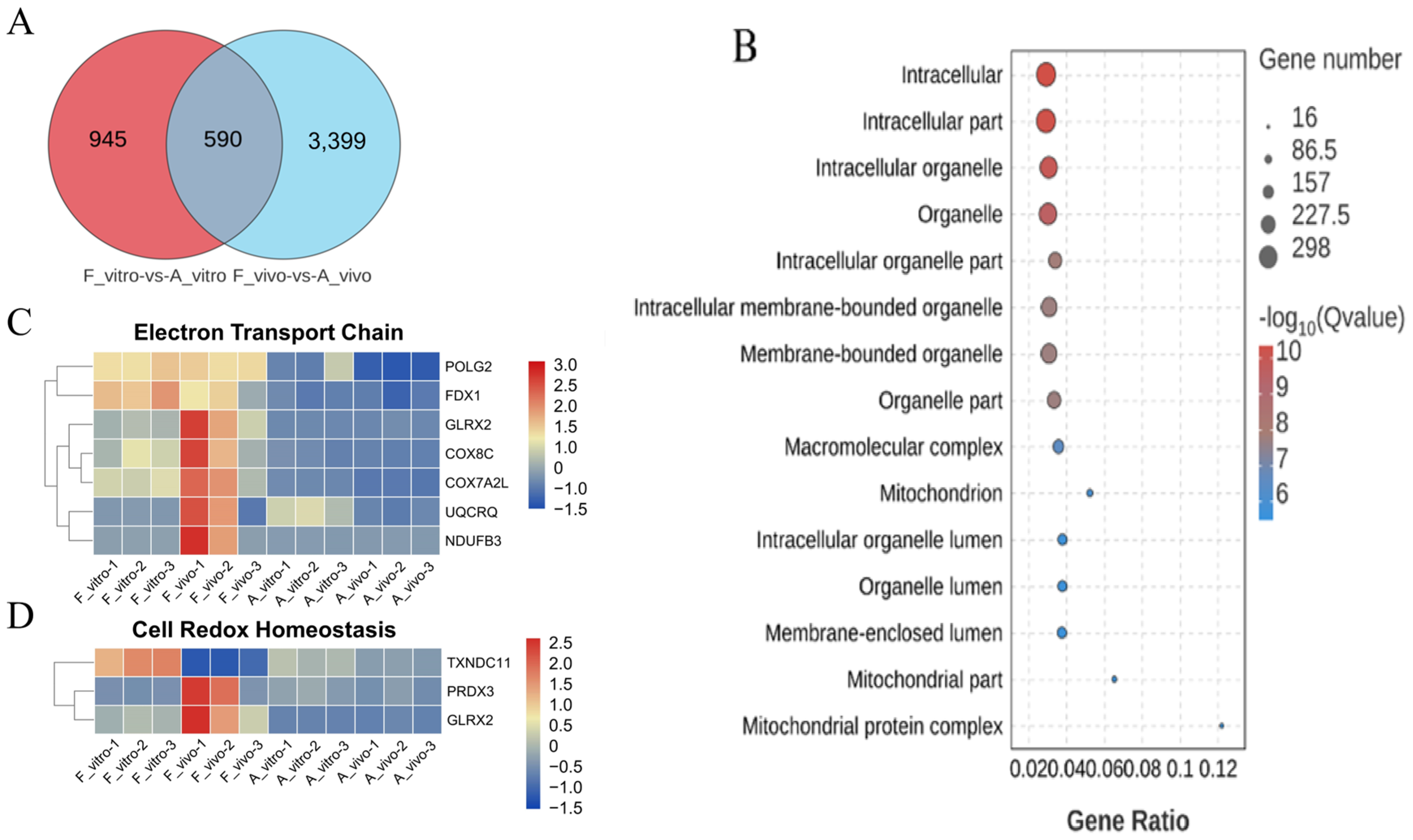 Antioxidants 13 00867 g003 Antioxidants 13 00867 g003