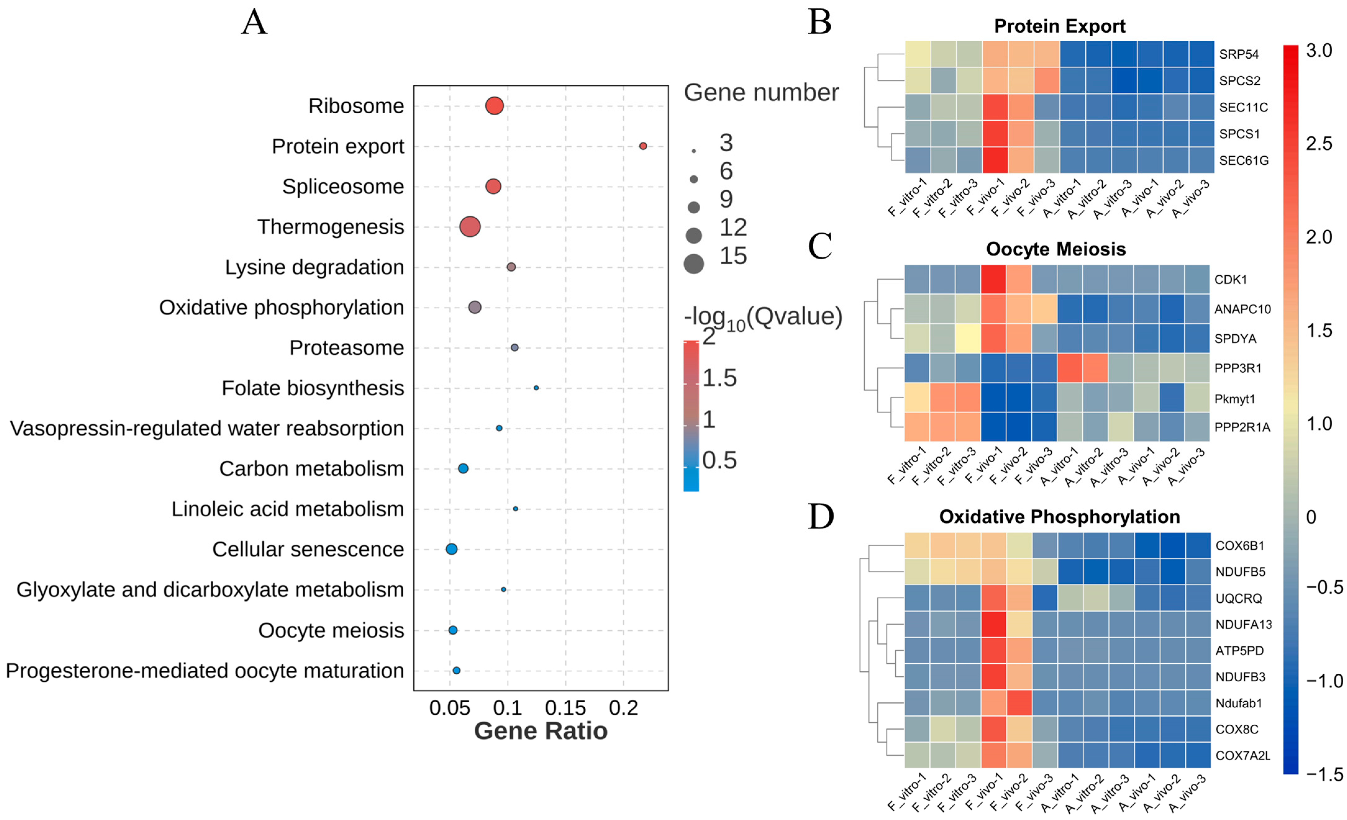 Antioxidants 13 00867 g004 Antioxidants 13 00867 g004