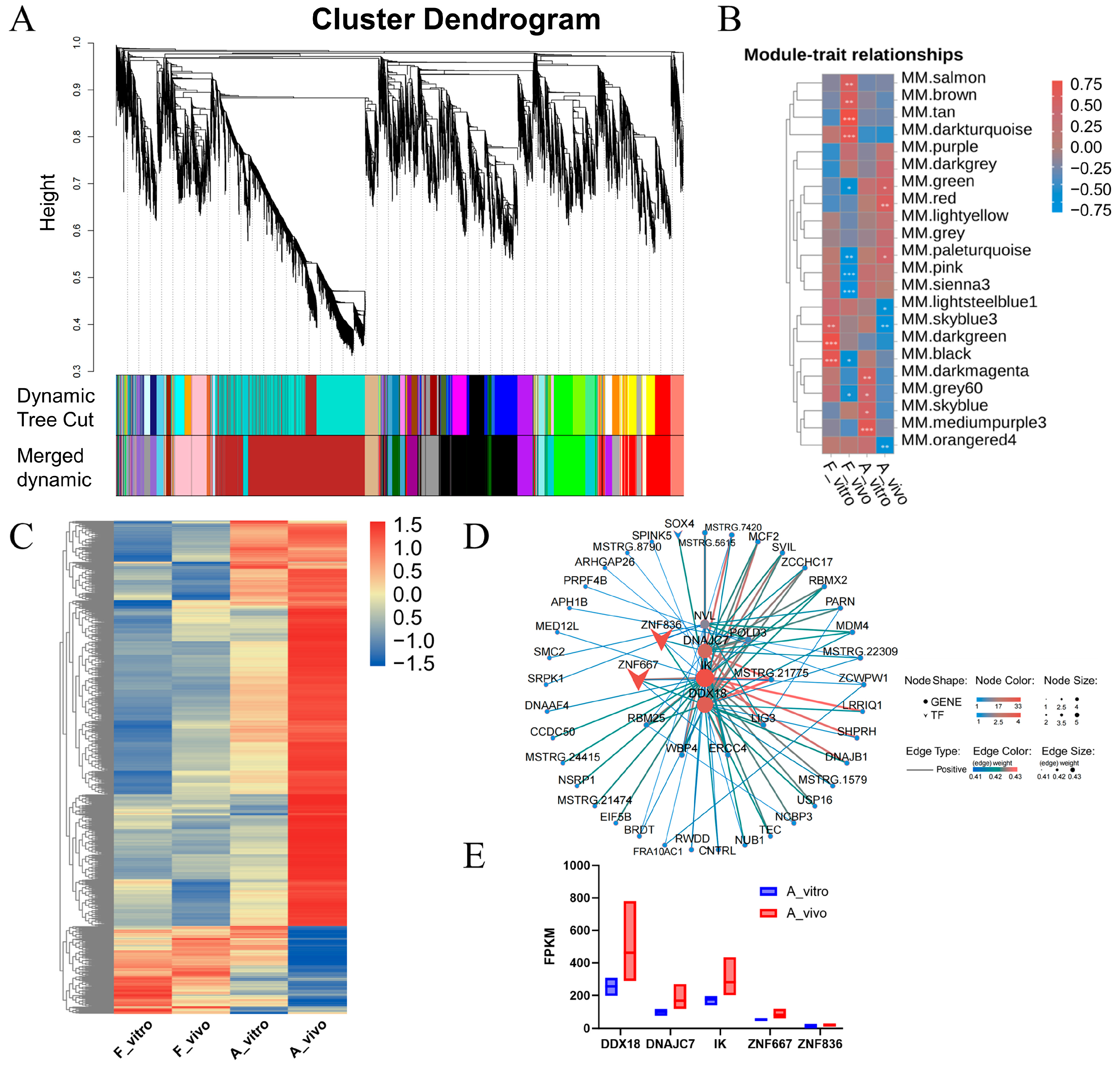 Antioxidants 13 00867 g005 Antioxidants 13 00867 g005