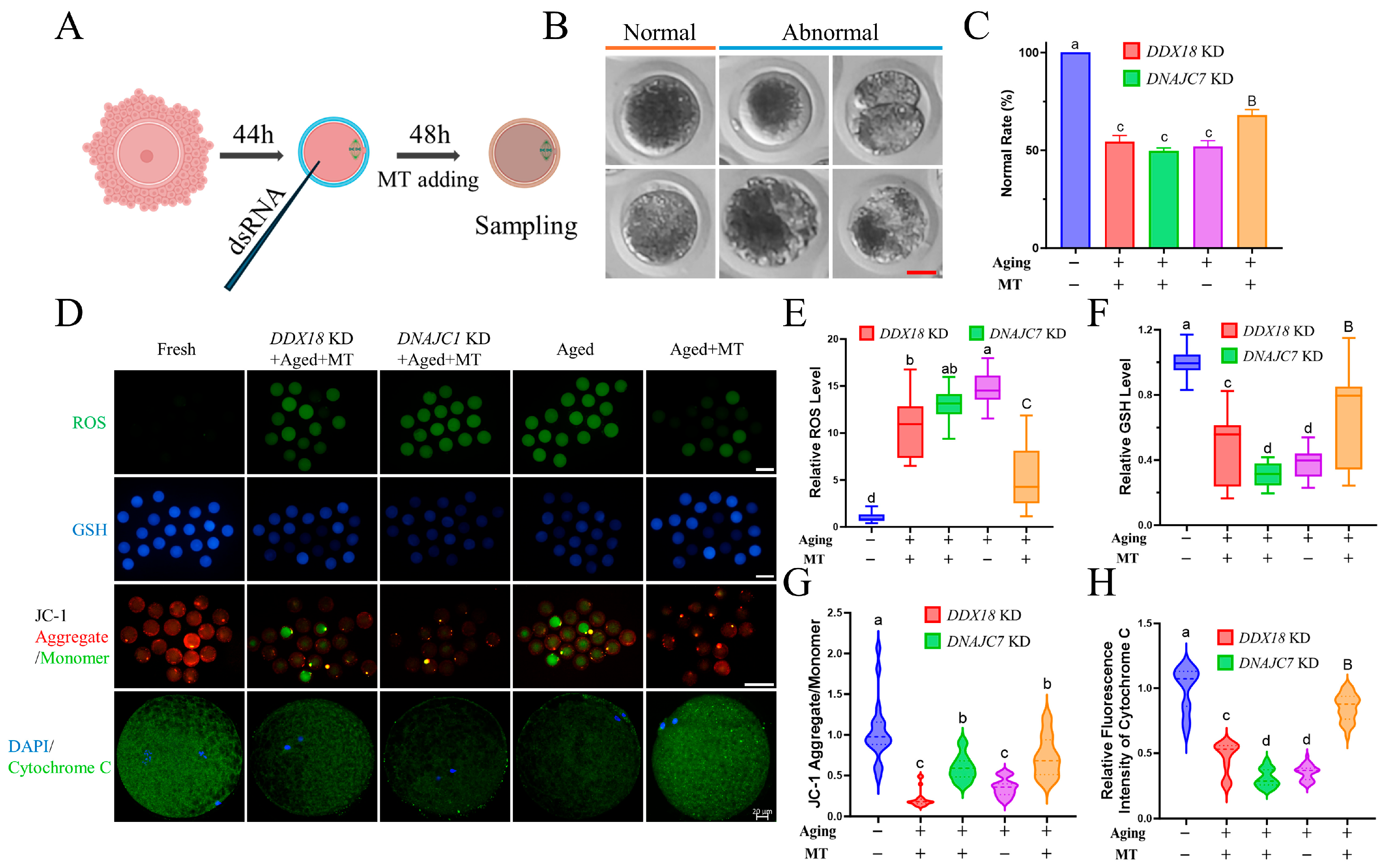 Antioxidants 13 00867 g007 Antioxidants 13 00867 g007