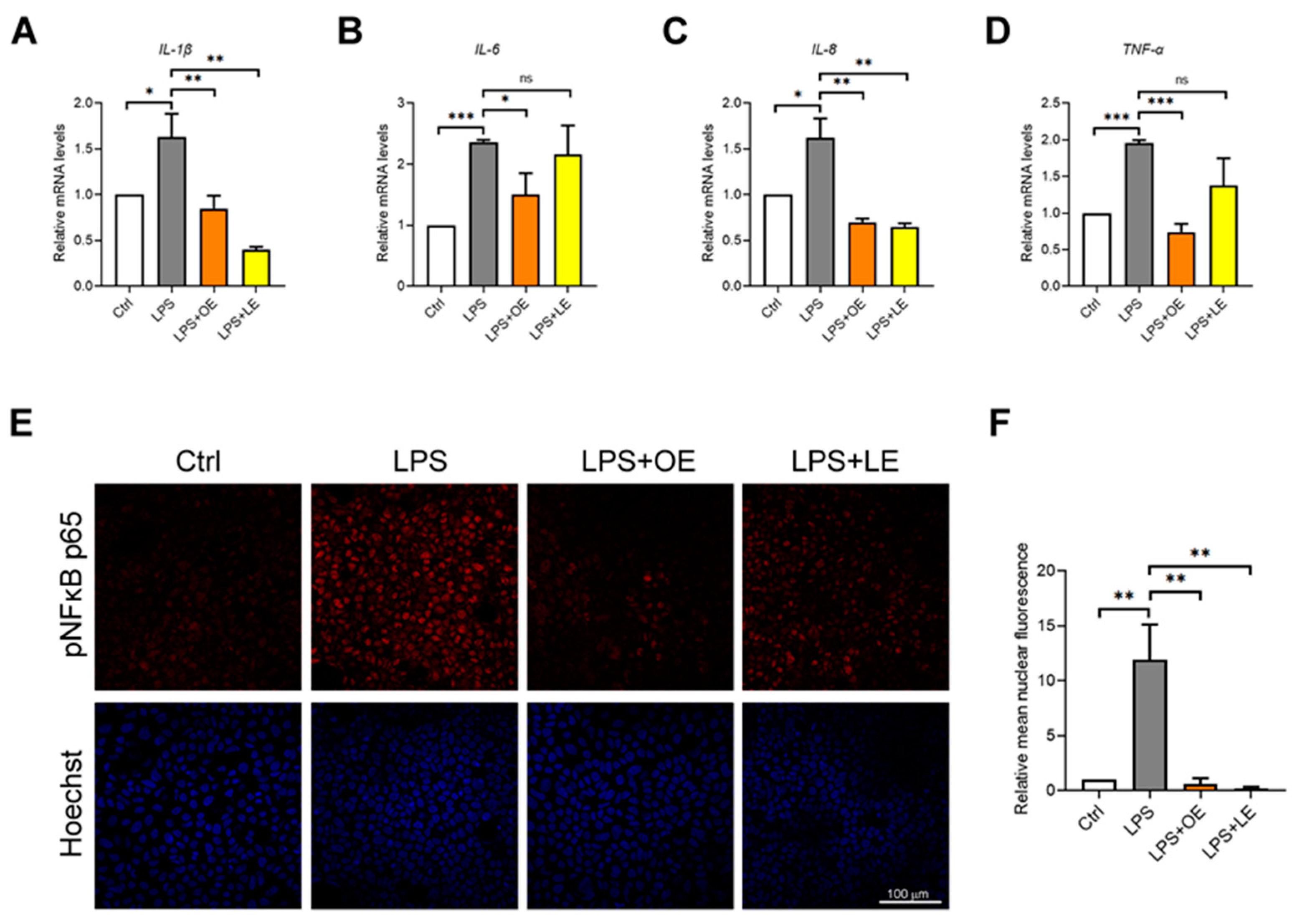 Antioxidants 13 00869 g008
