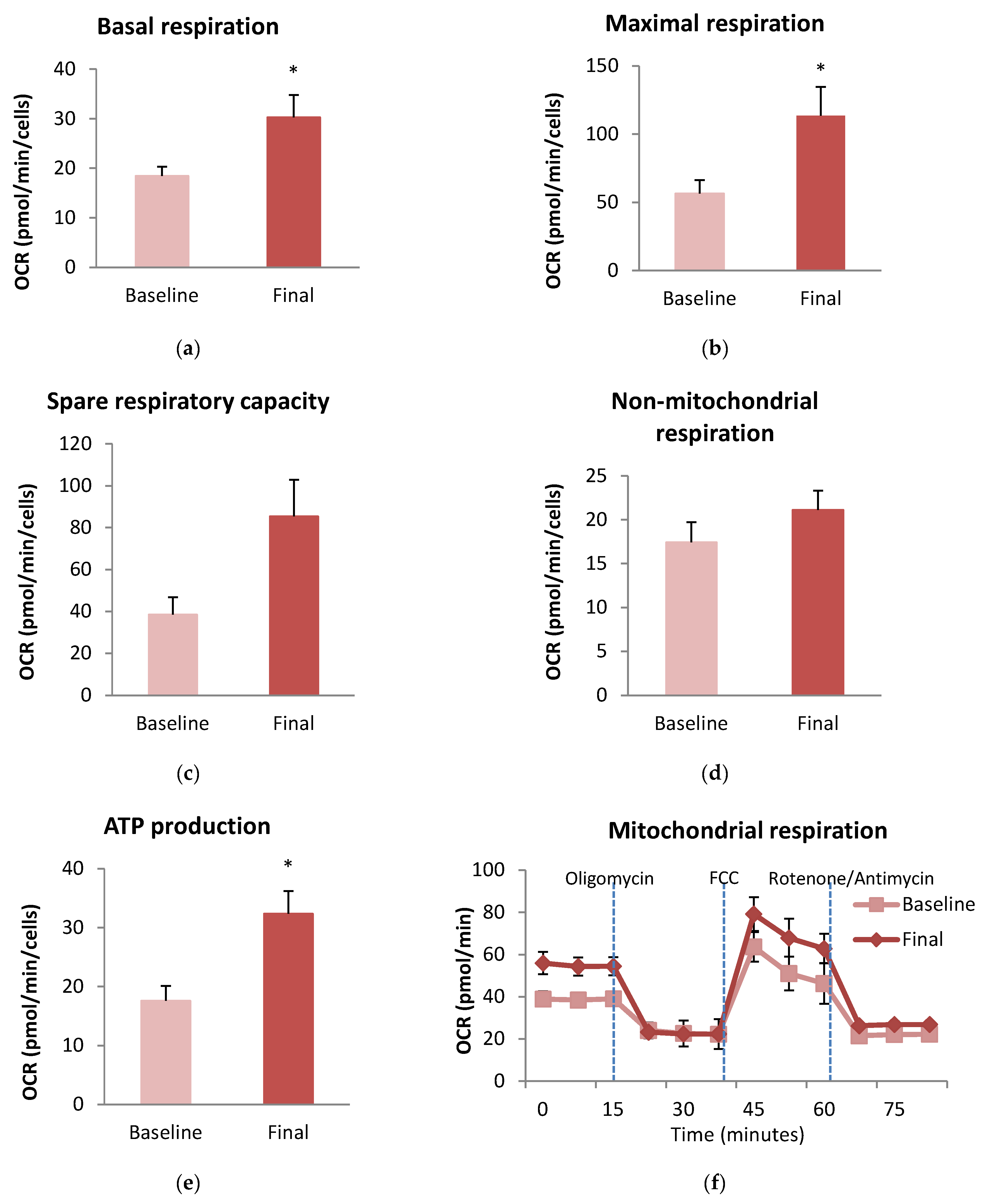 Antioxidants 13 00870 g004