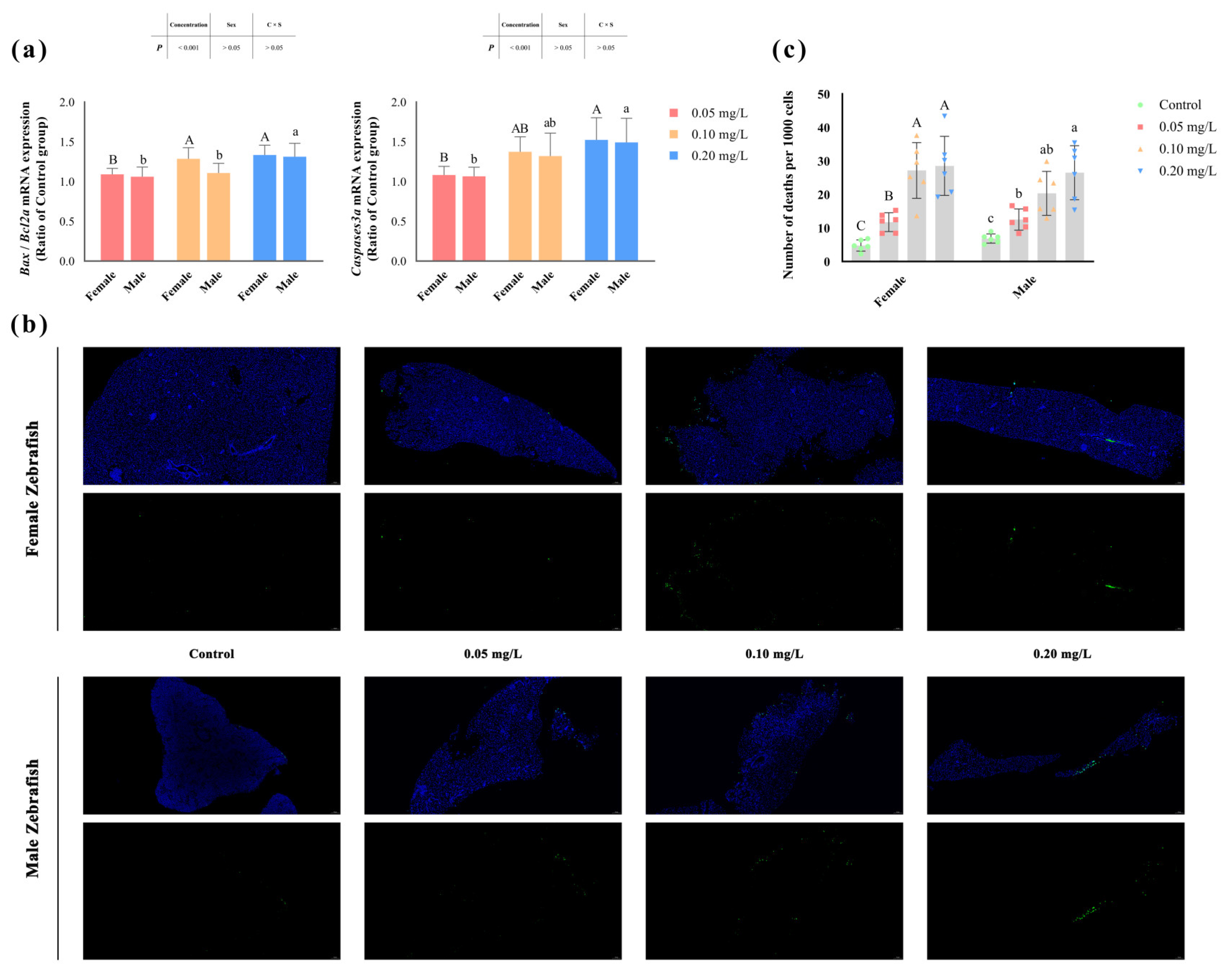 Antioxidants 13 00871 g001