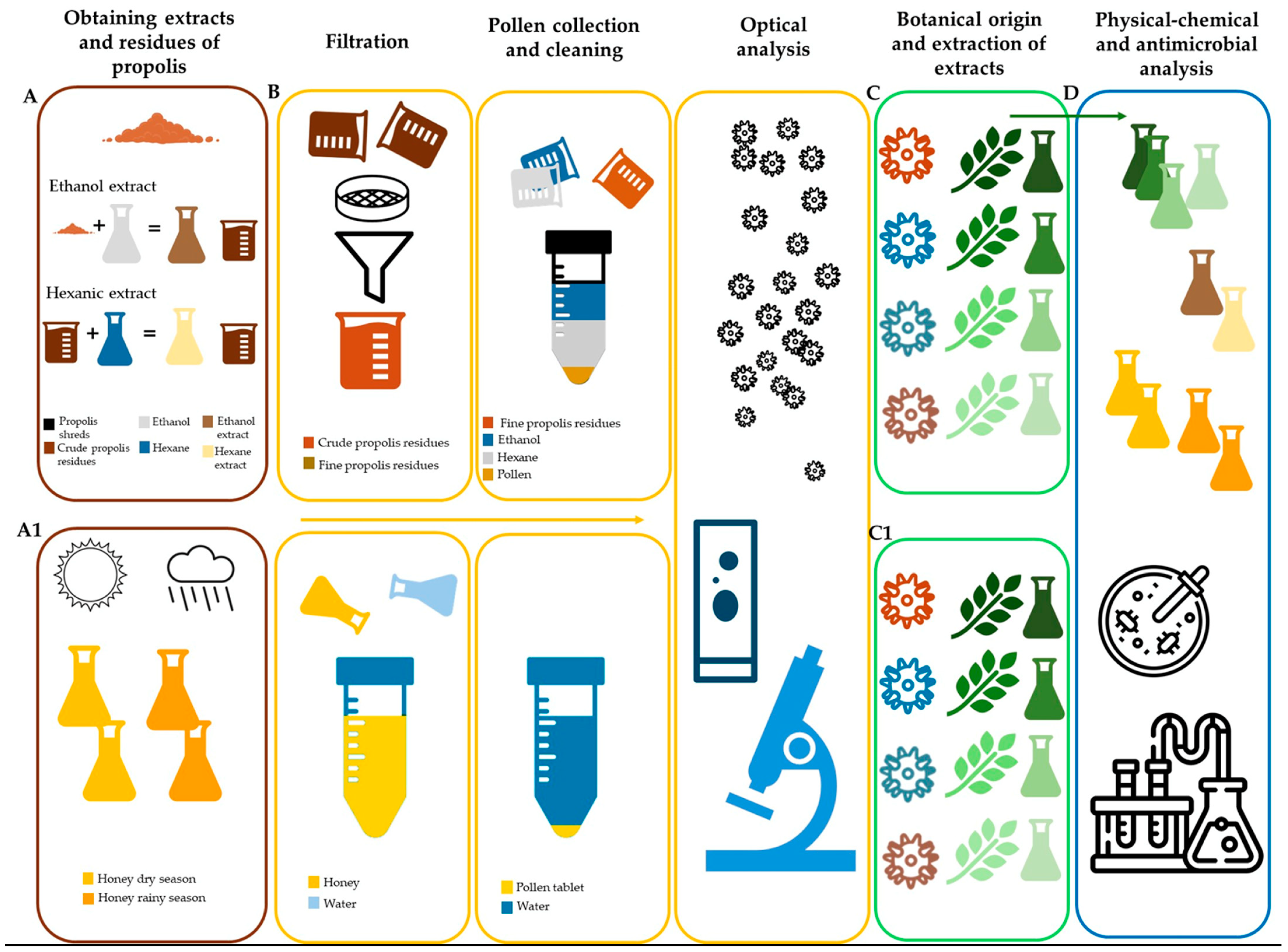 Antioxidants 13 00874 g001