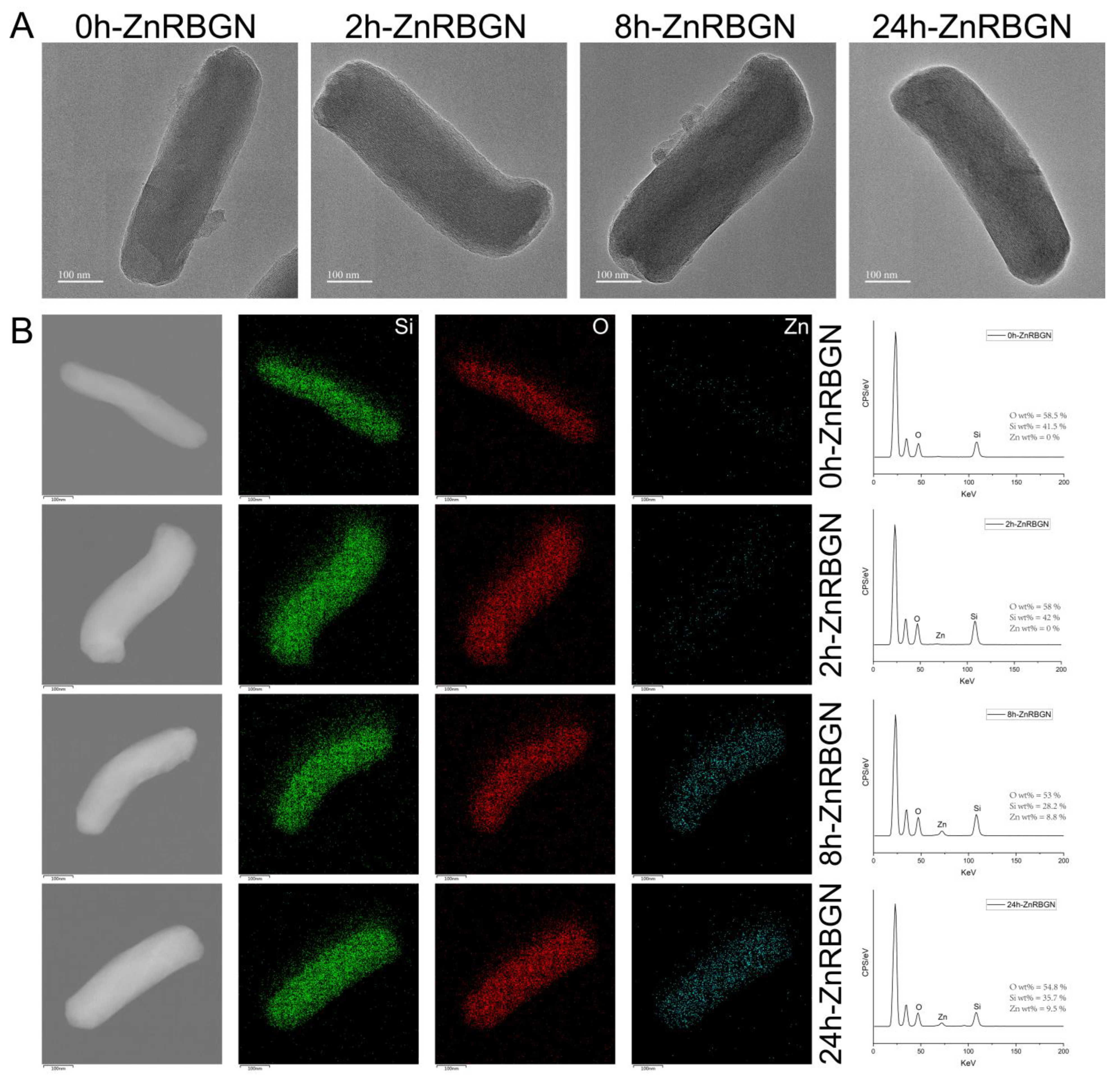 Antioxidants 13 00875 g002