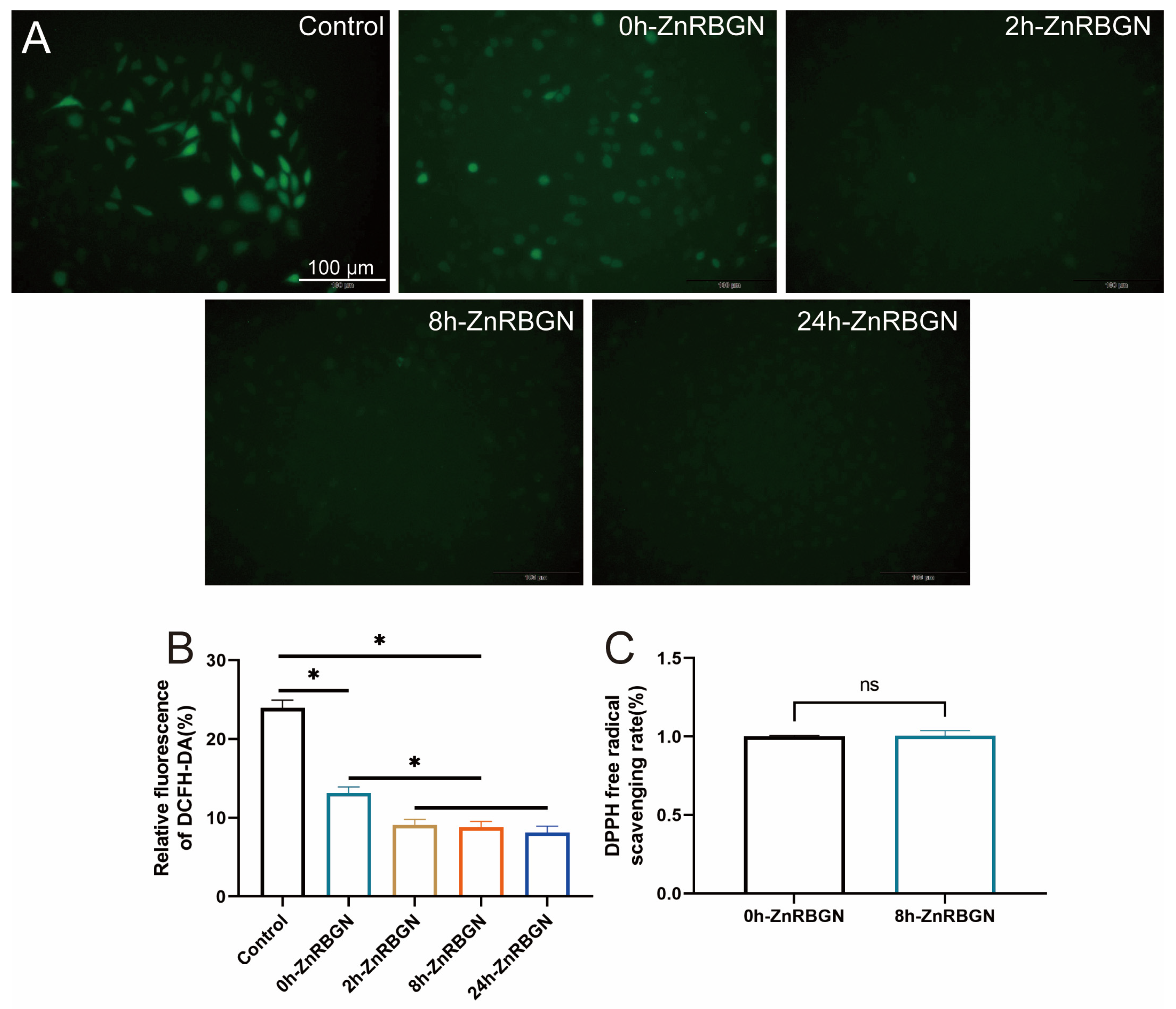 Antioxidants 13 00875 g008