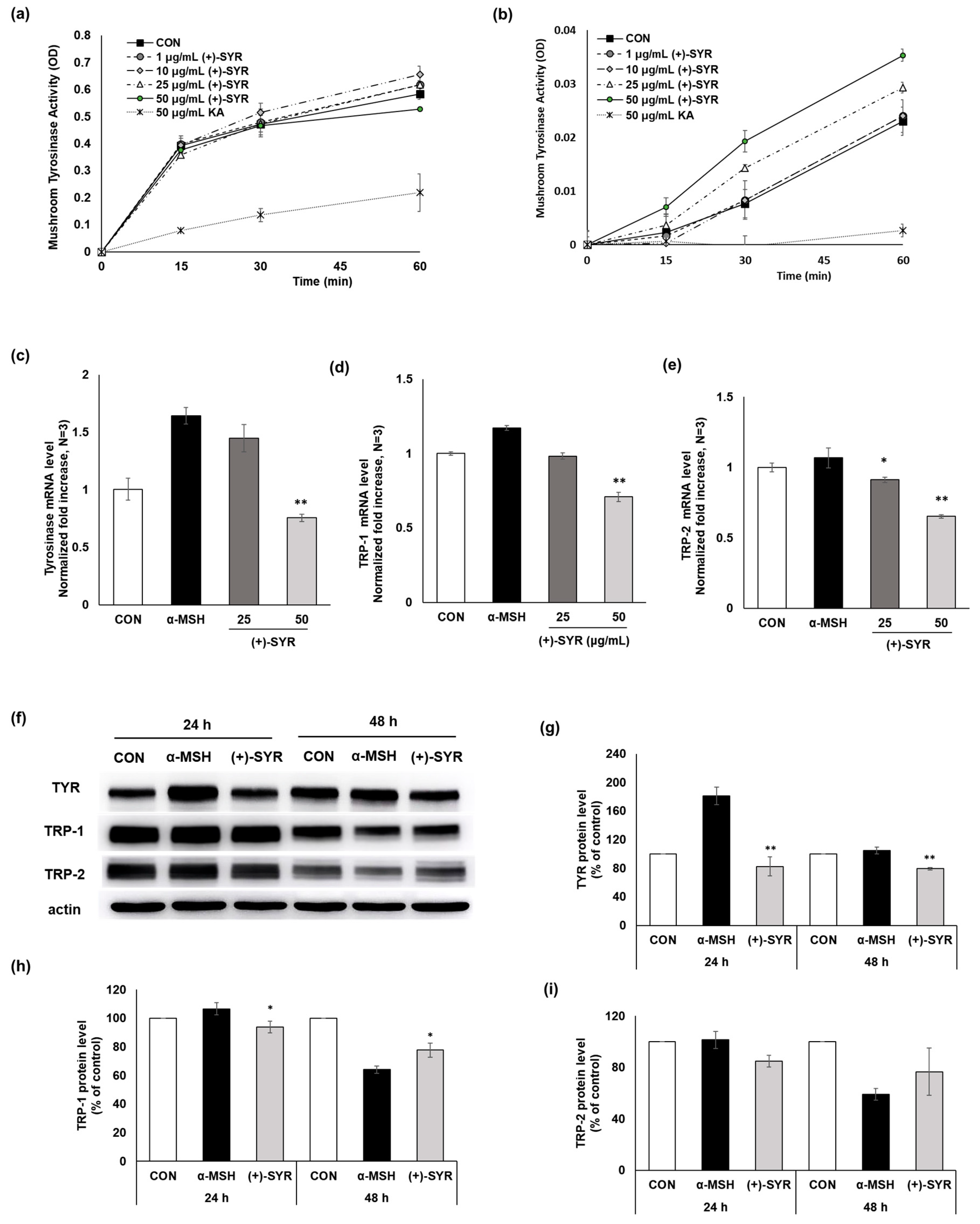 Antioxidants 13 00876 g003