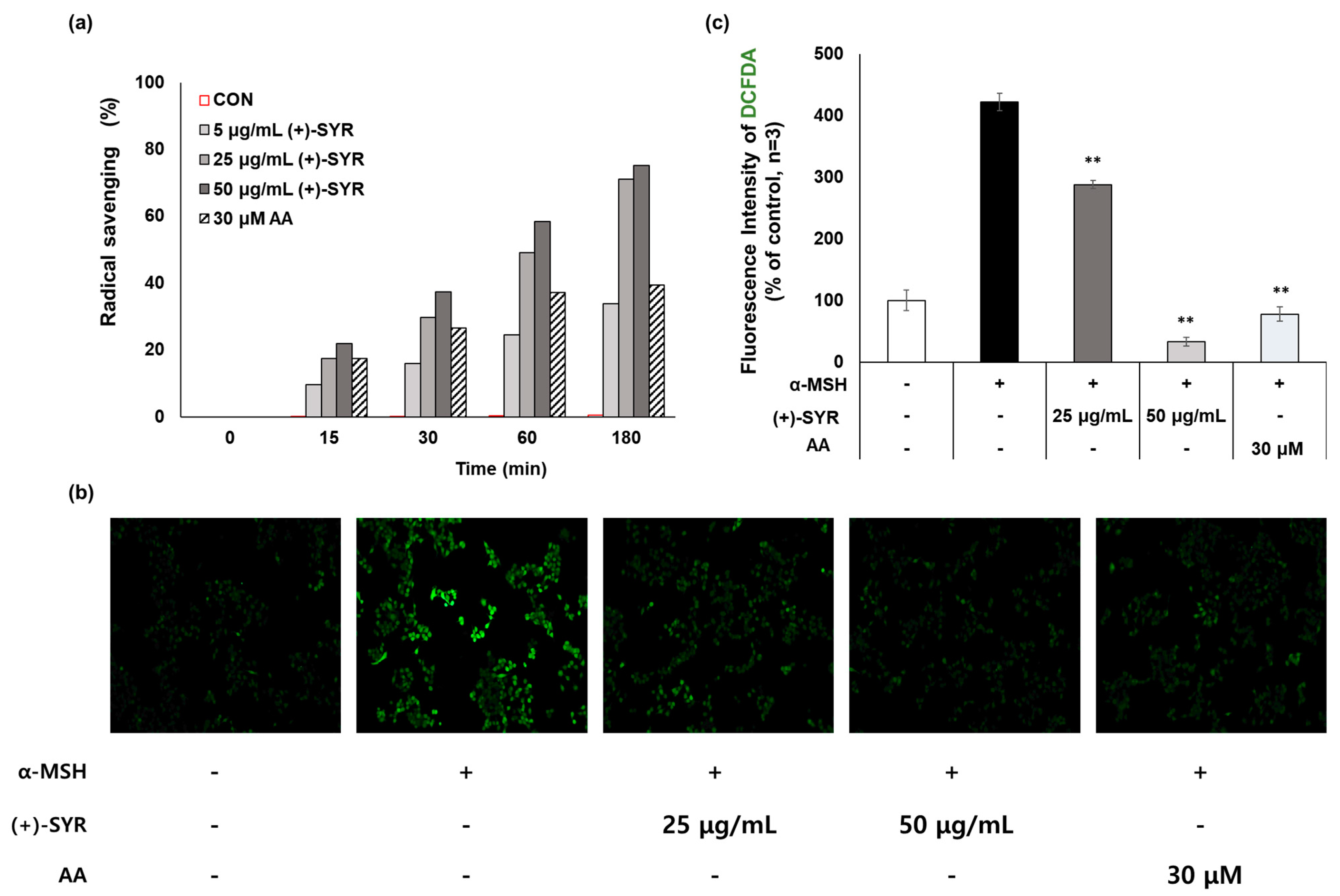 Antioxidants 13 00876 g004