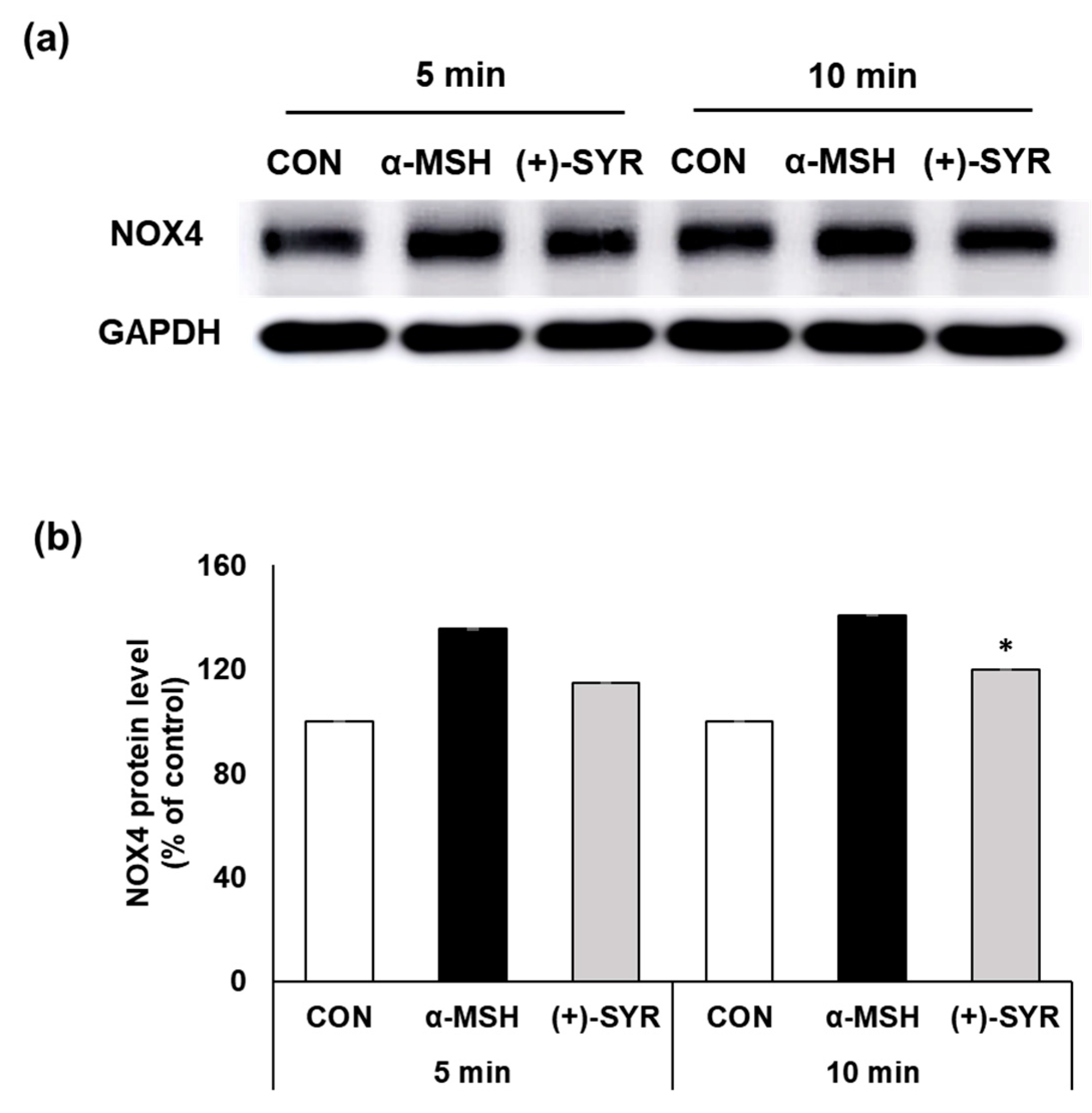 Antioxidants 13 00876 g006