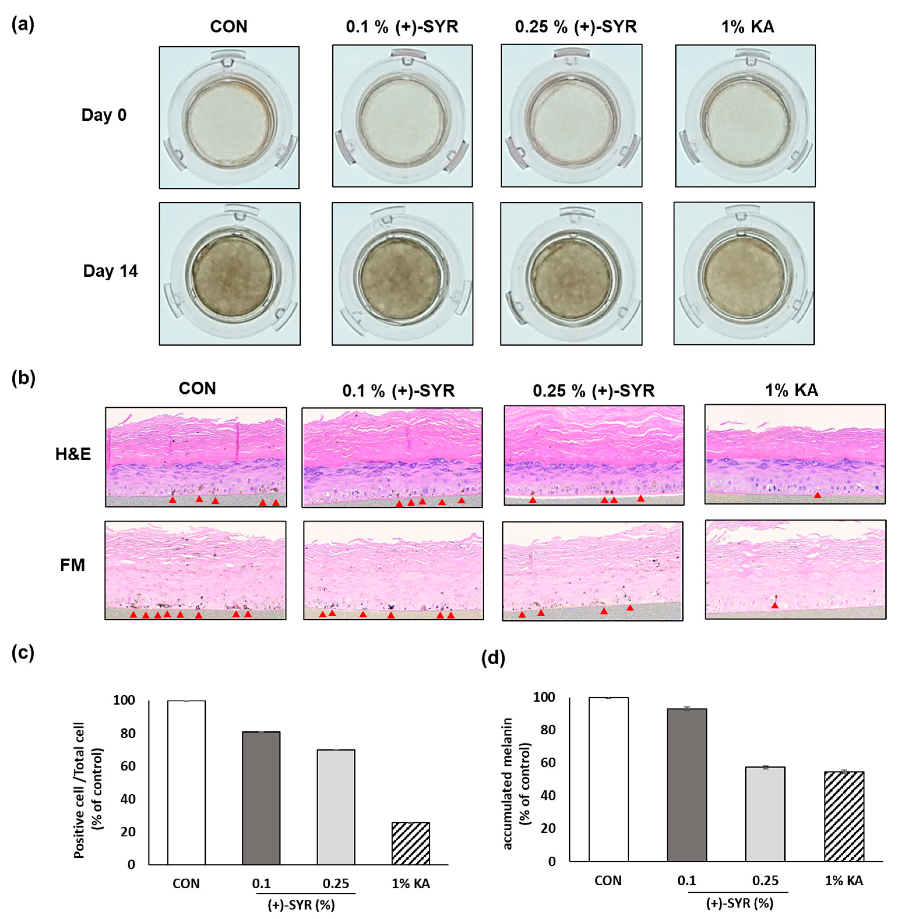 Antioxidants 13 00876 g007