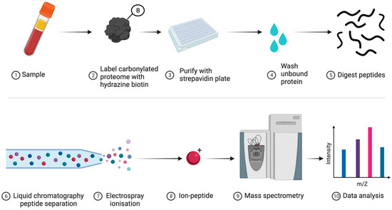 Antioxidants 13 00877 g006