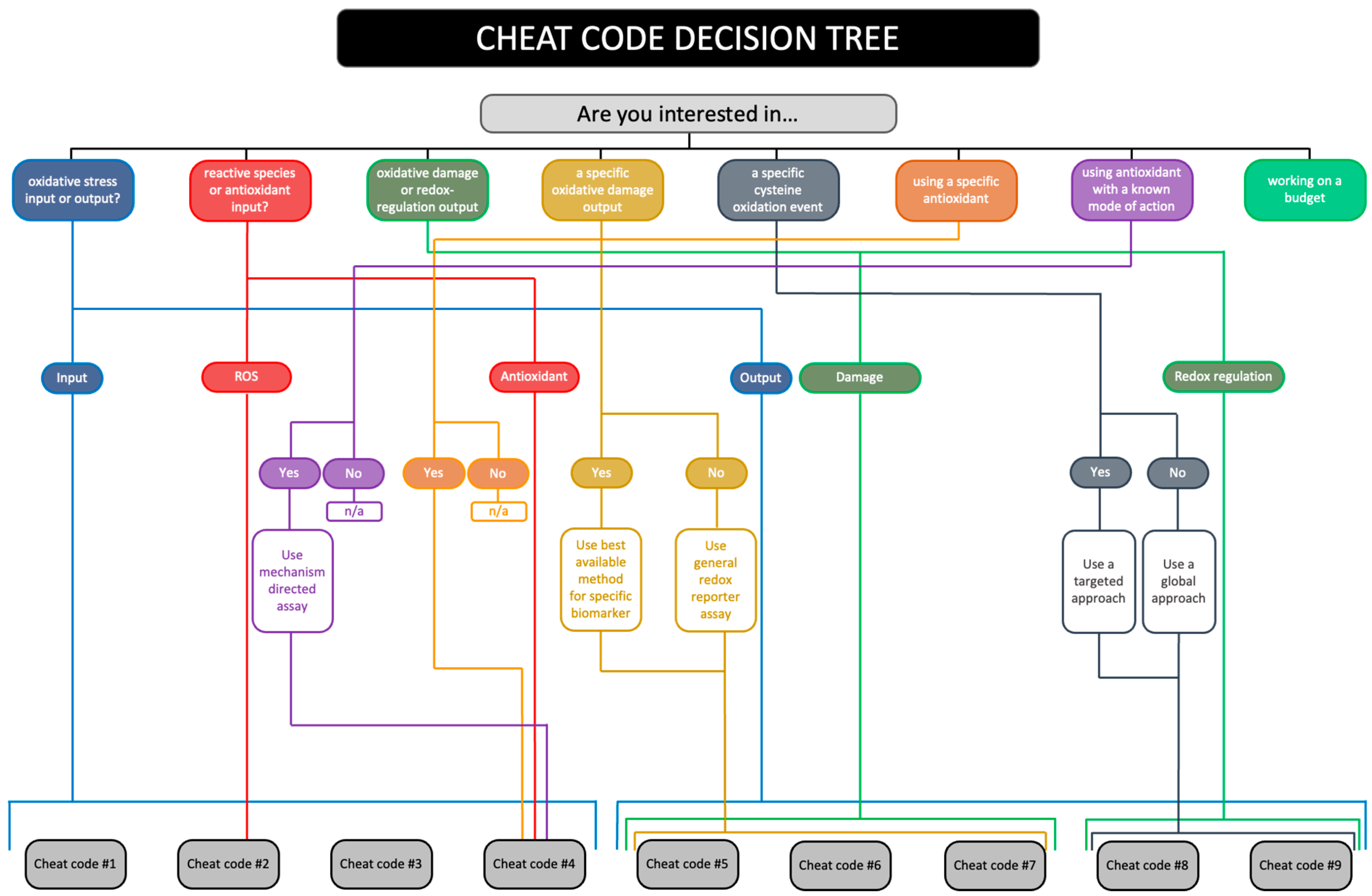Antioxidants 13 00877 g010