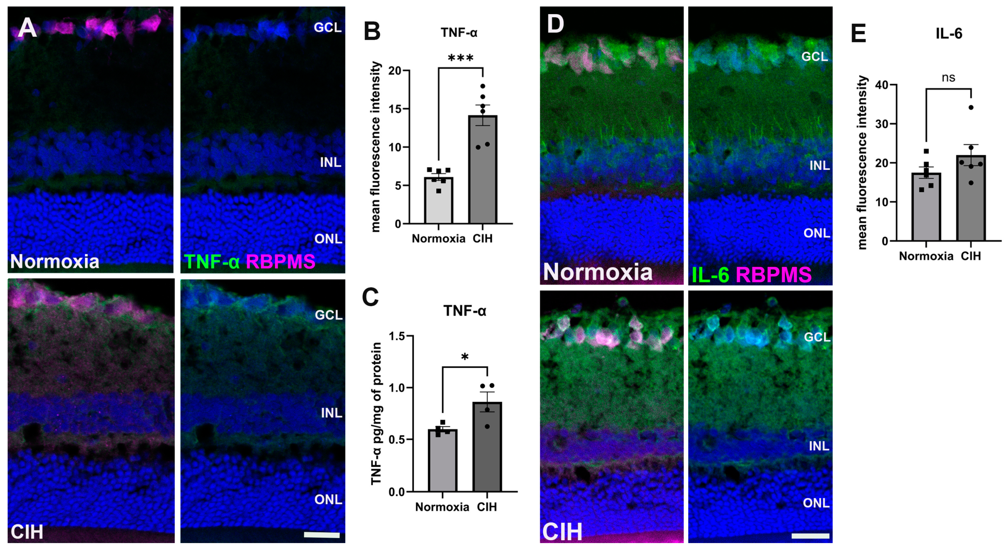 Antioxidants 13 00878 g004