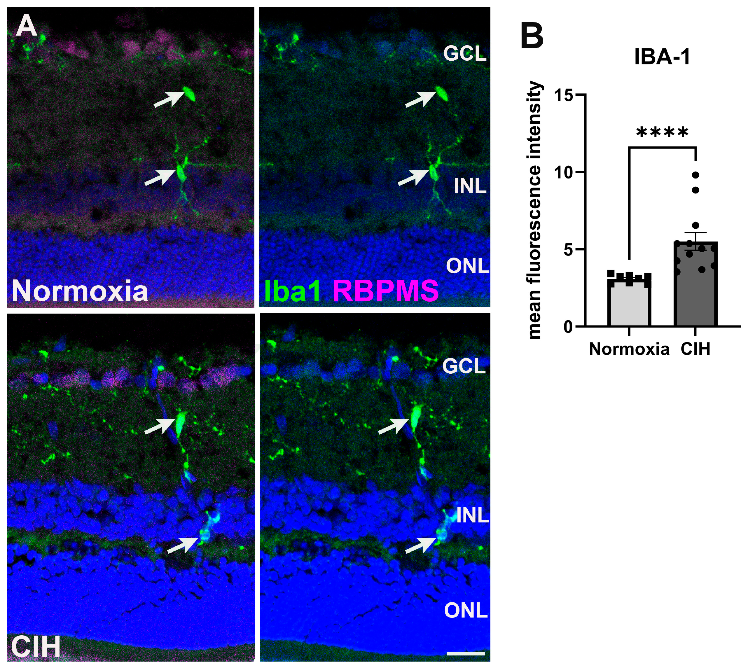 Antioxidants 13 00878 g005