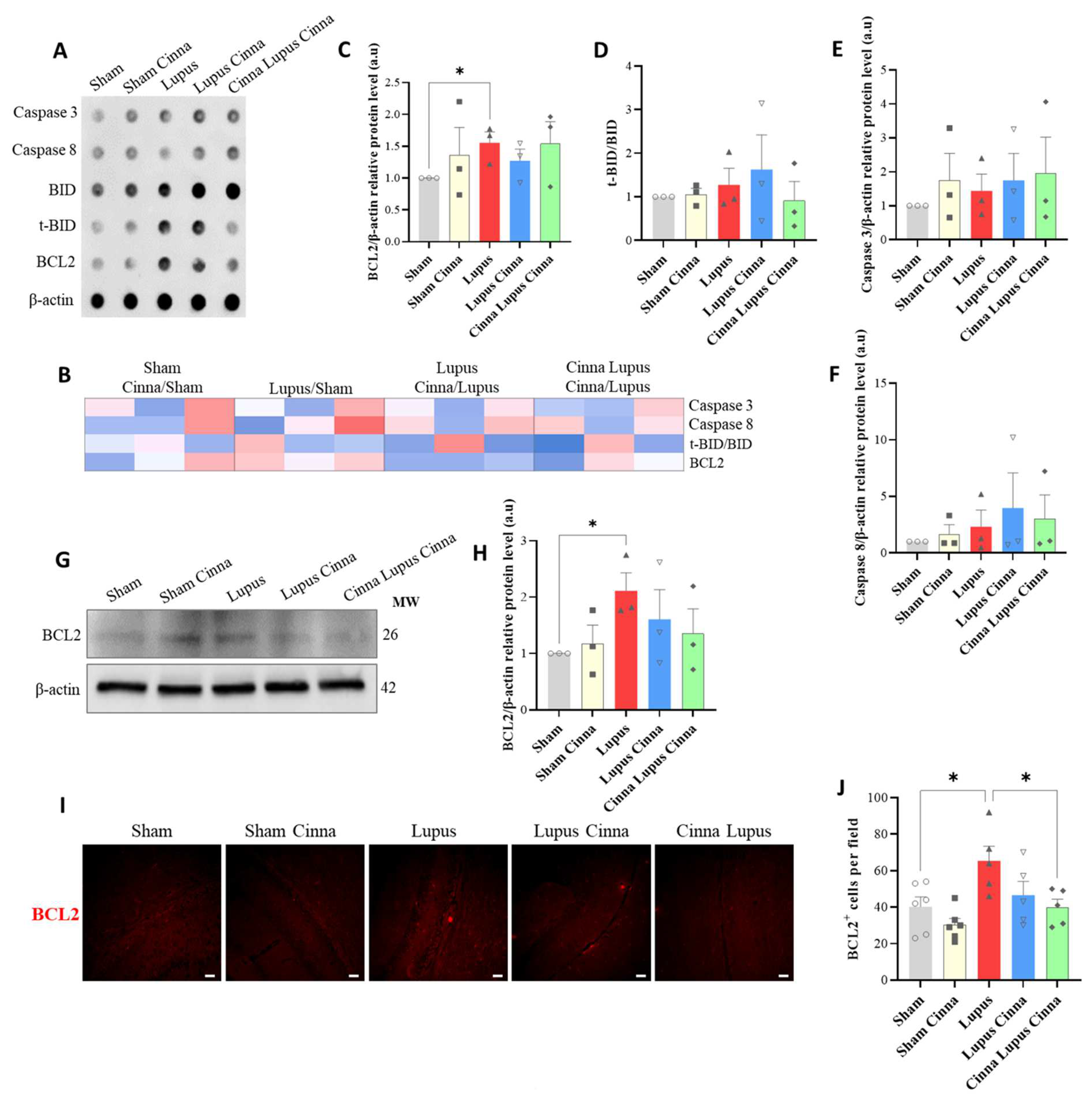 Antioxidants 13 00880 g002