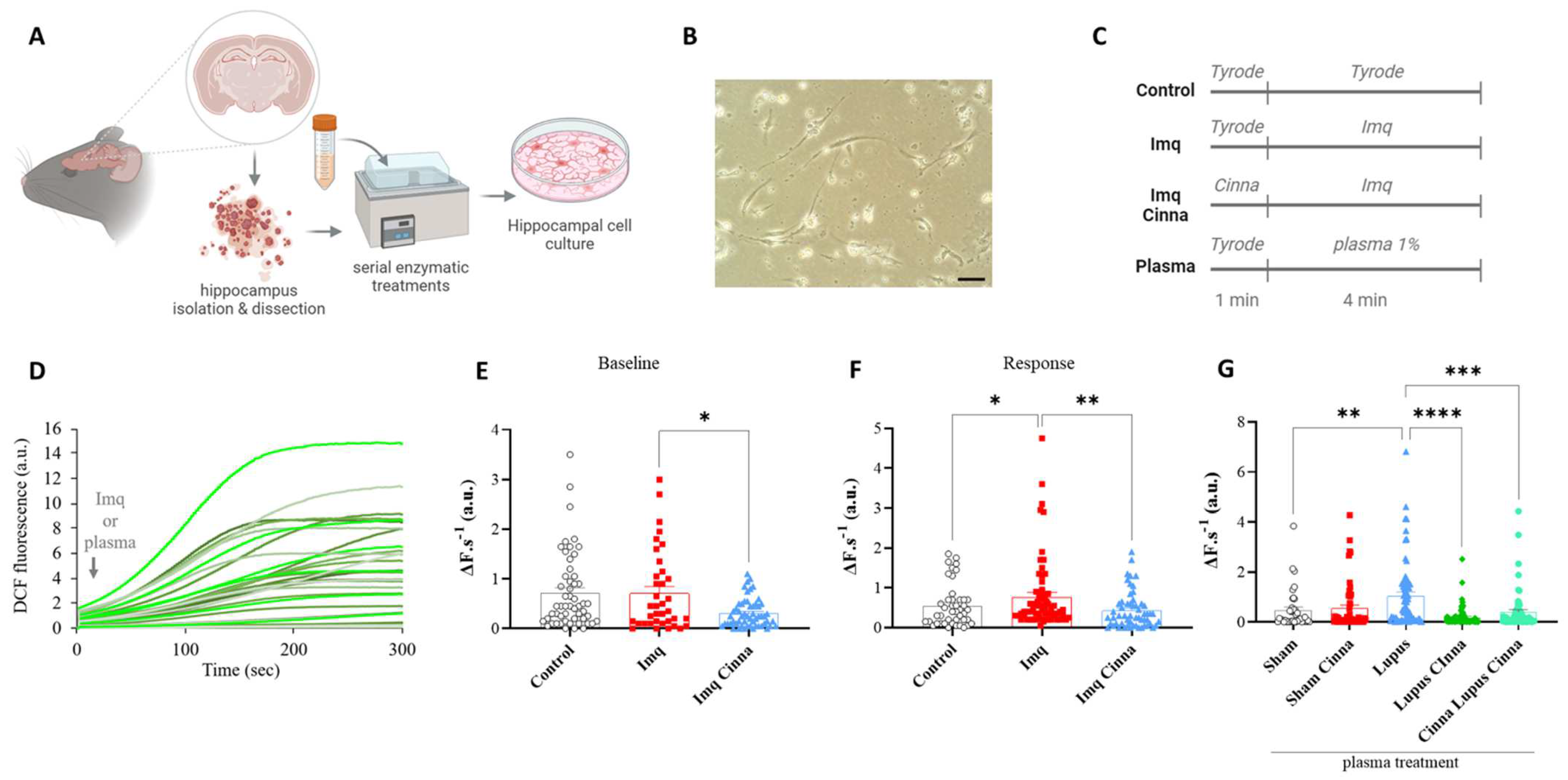 Antioxidants 13 00880 g003