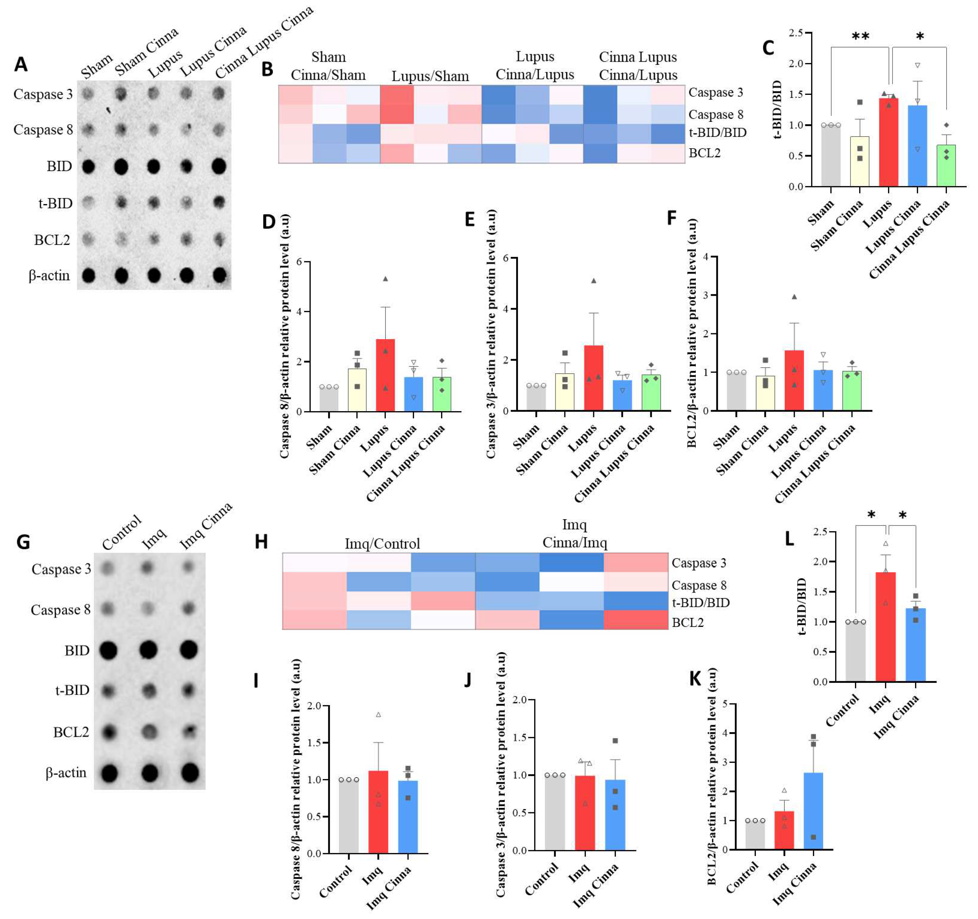 Antioxidants 13 00880 g005