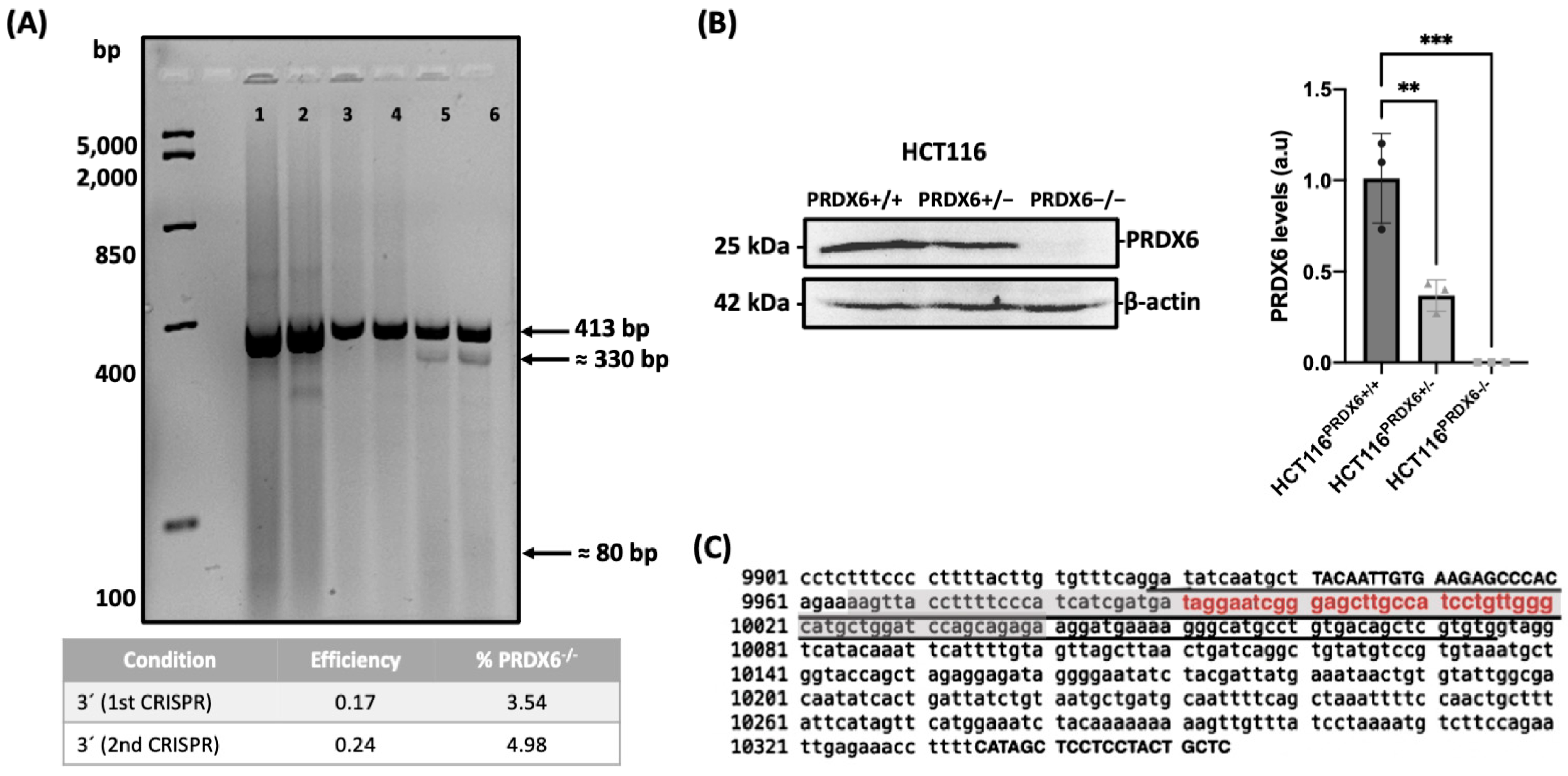 Antioxidants 13 00881 g001