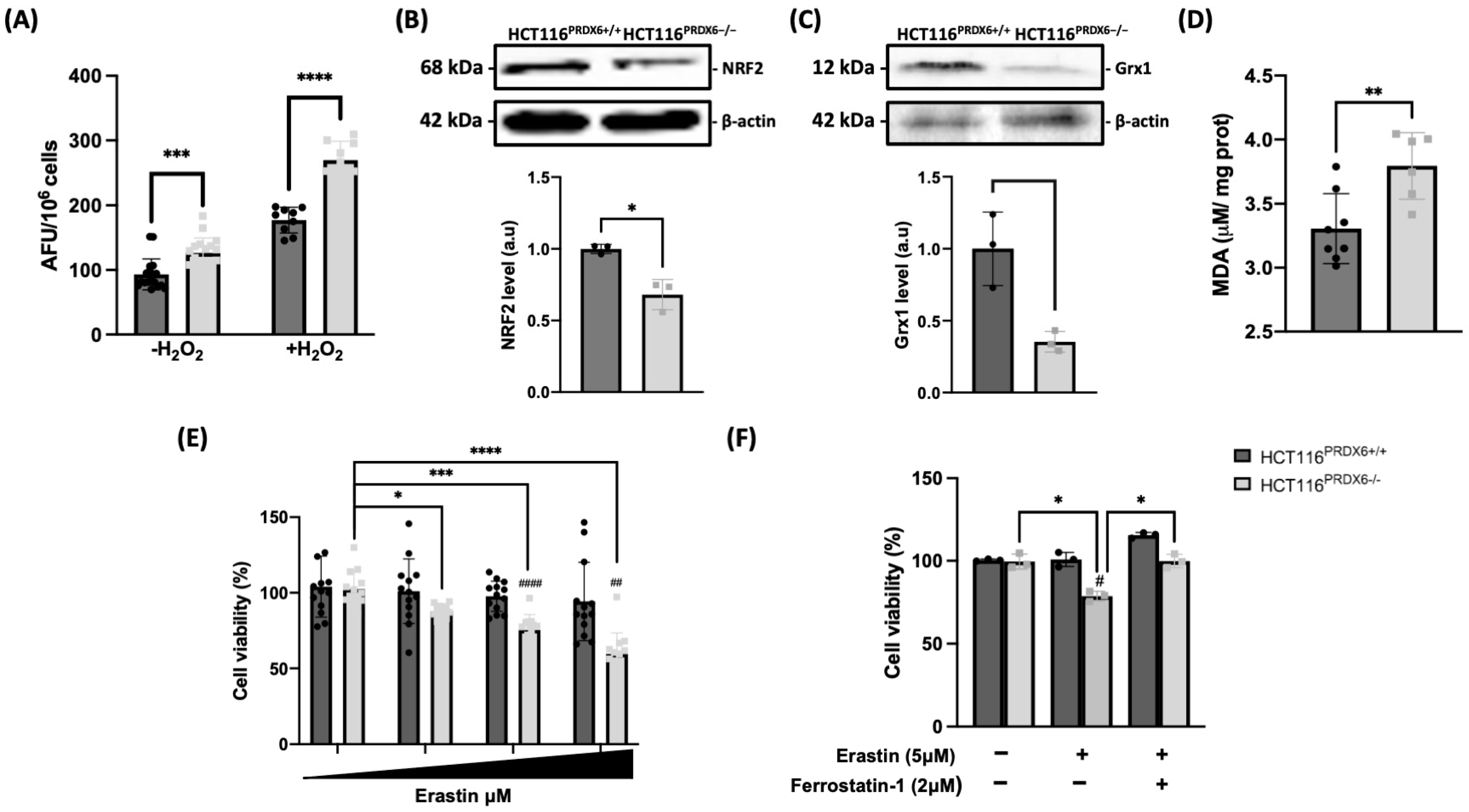 Antioxidants 13 00881 g002