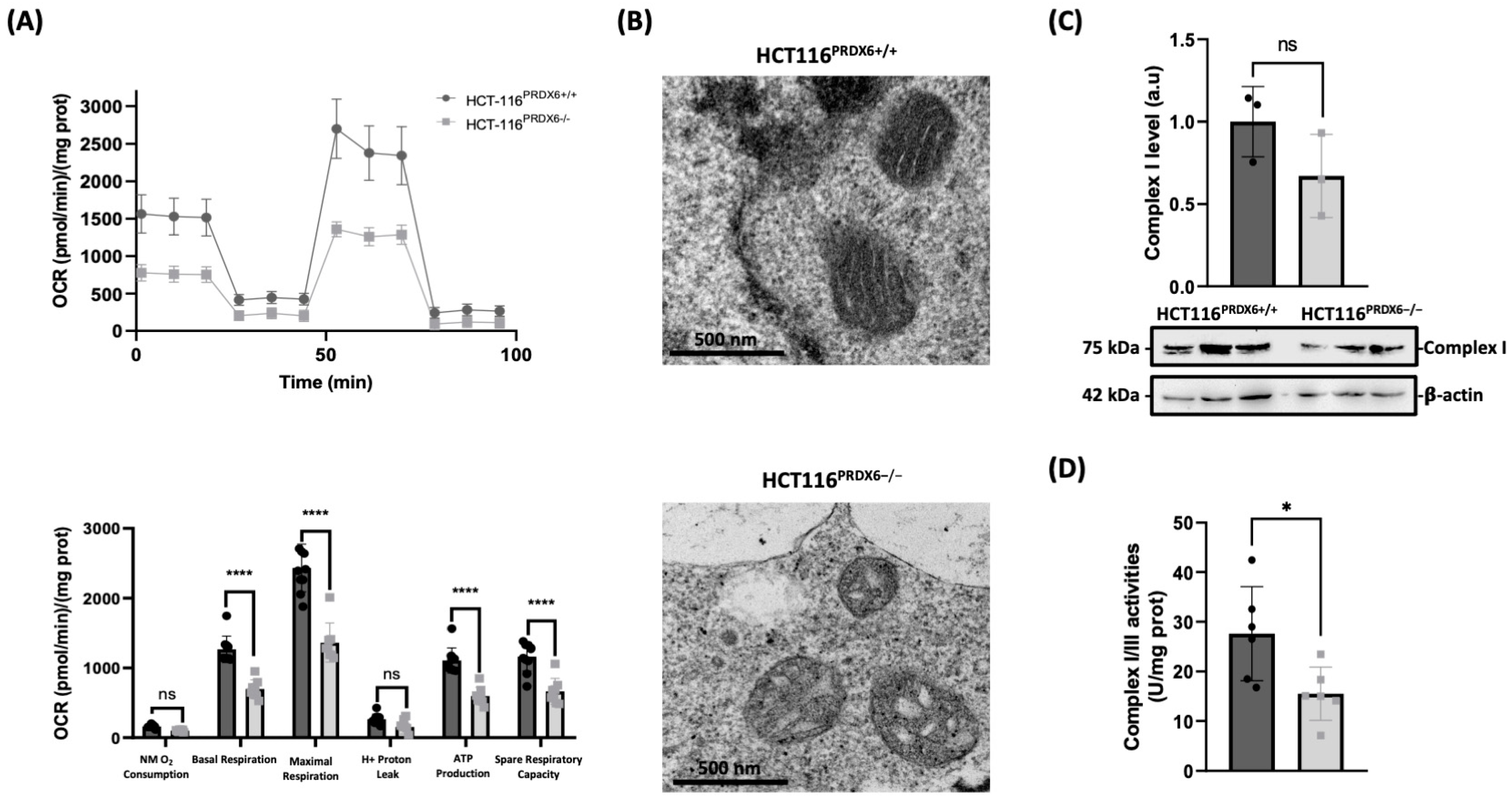 Antioxidants 13 00881 g003