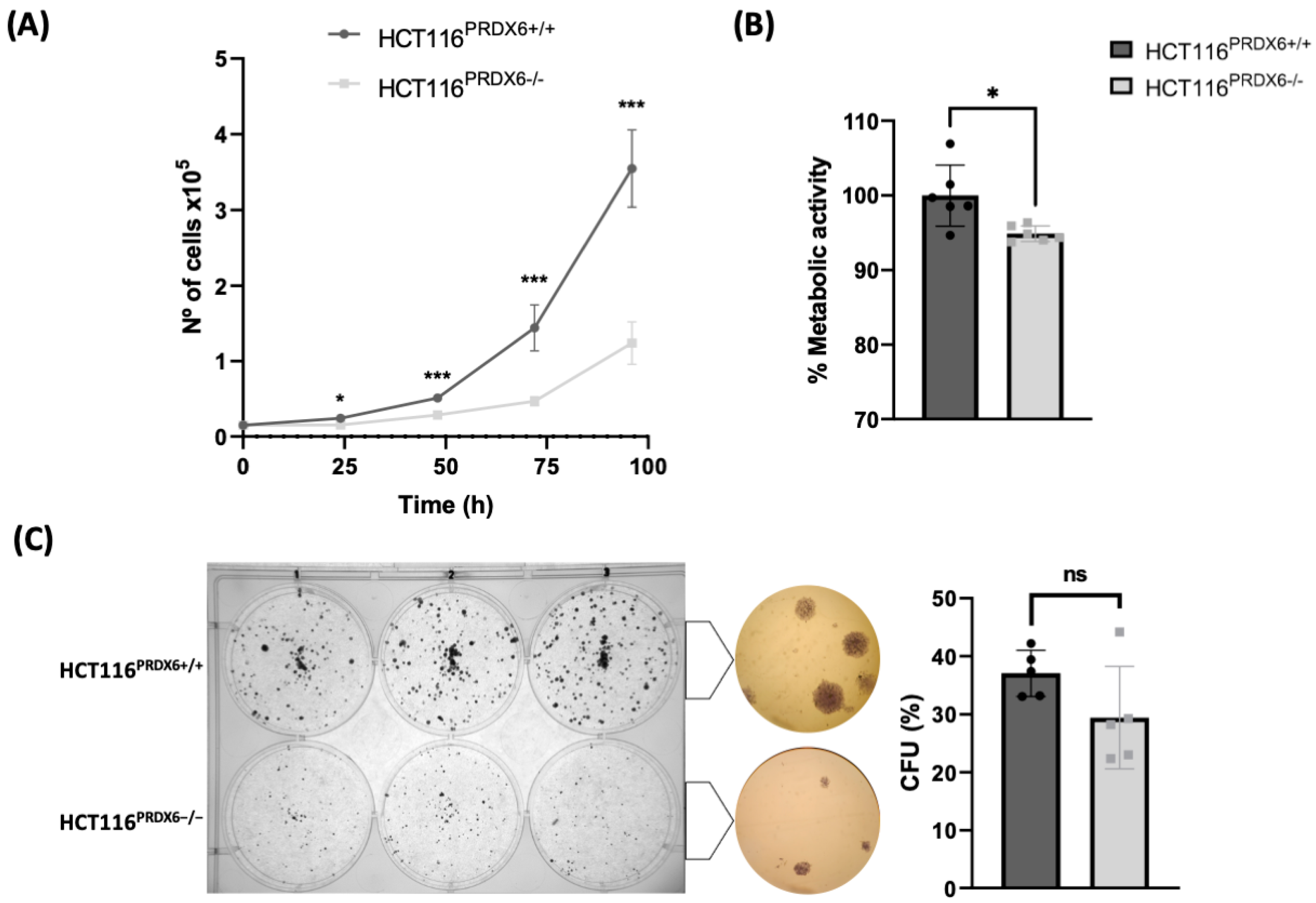 Antioxidants 13 00881 g004