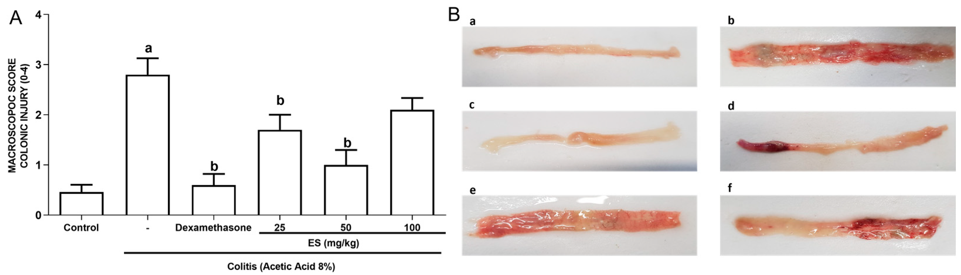 Antioxidants 13 00884 g001