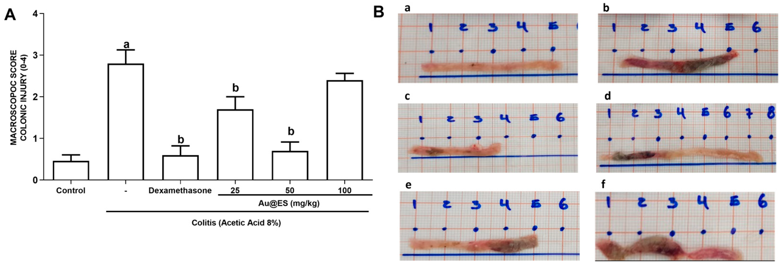 Antioxidants 13 00884 g002