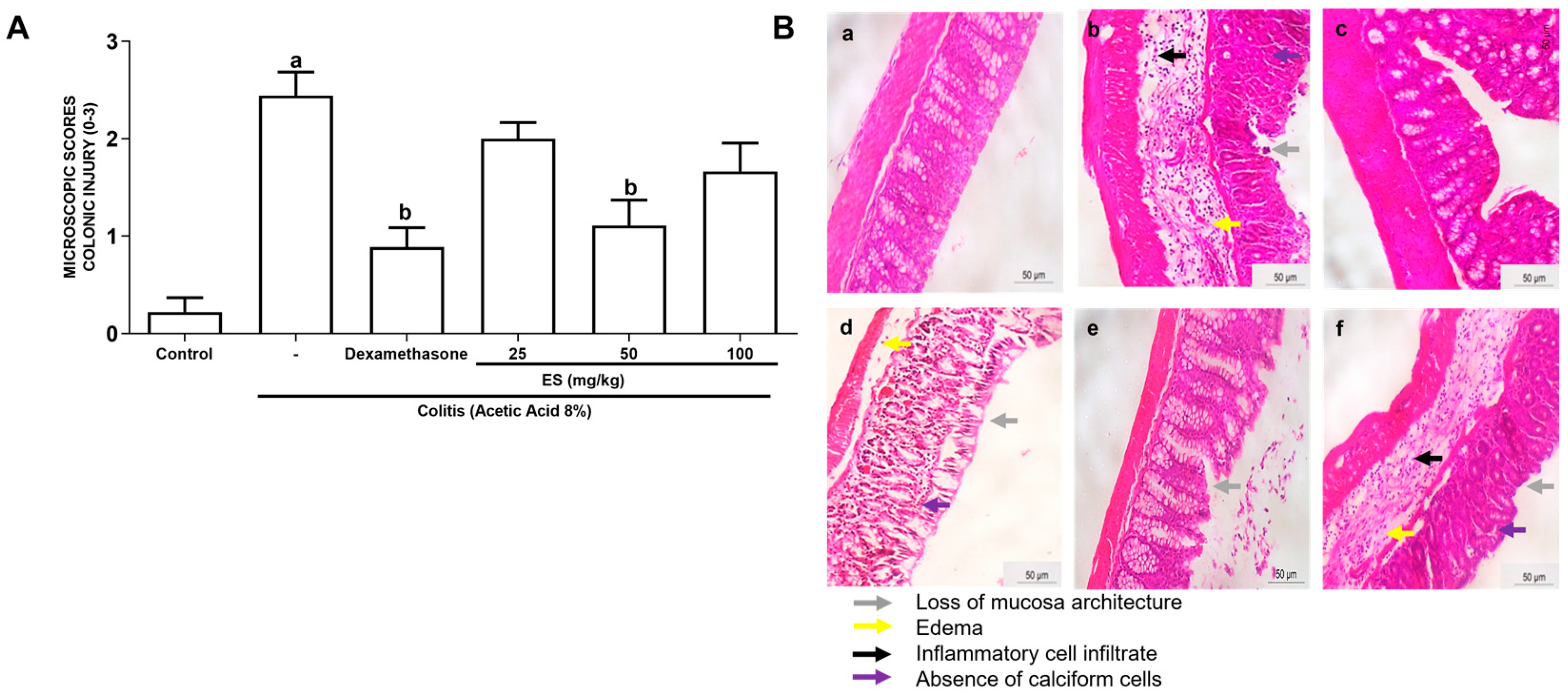 Antioxidants 13 00884 g003