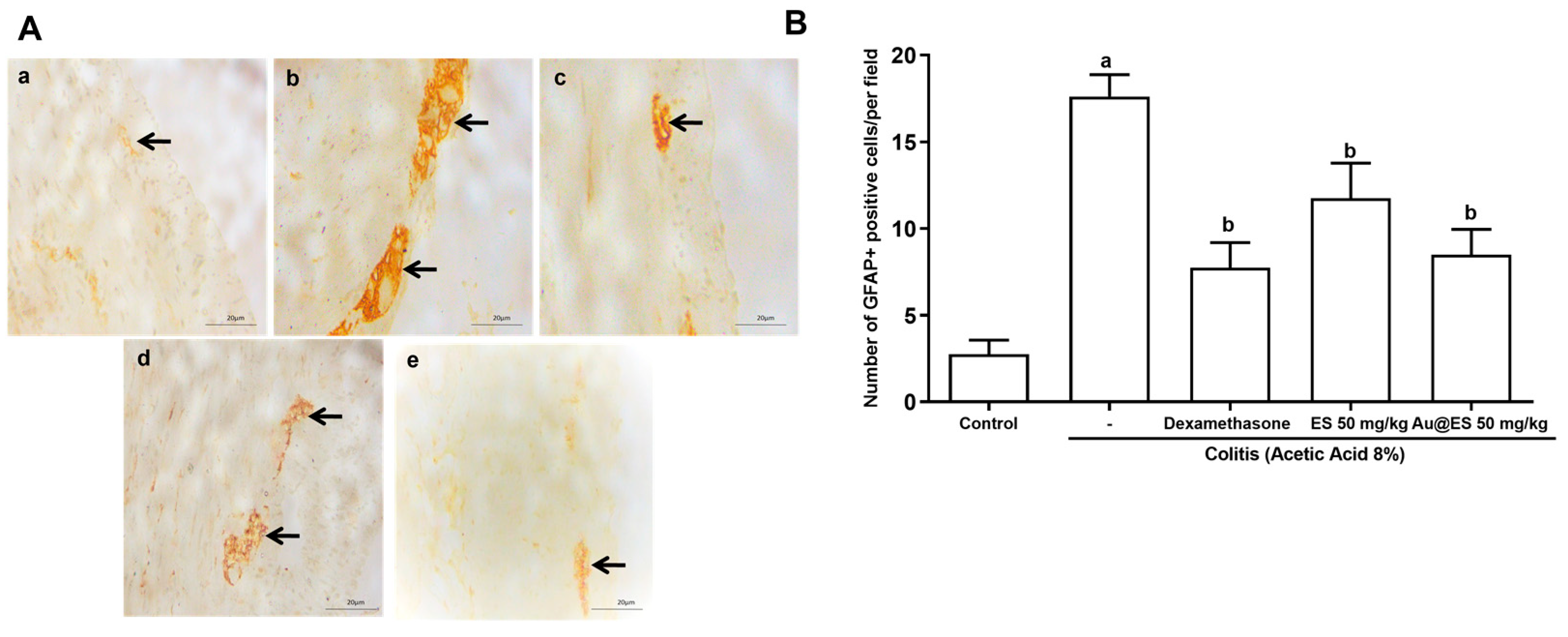 Antioxidants 13 00884 g009