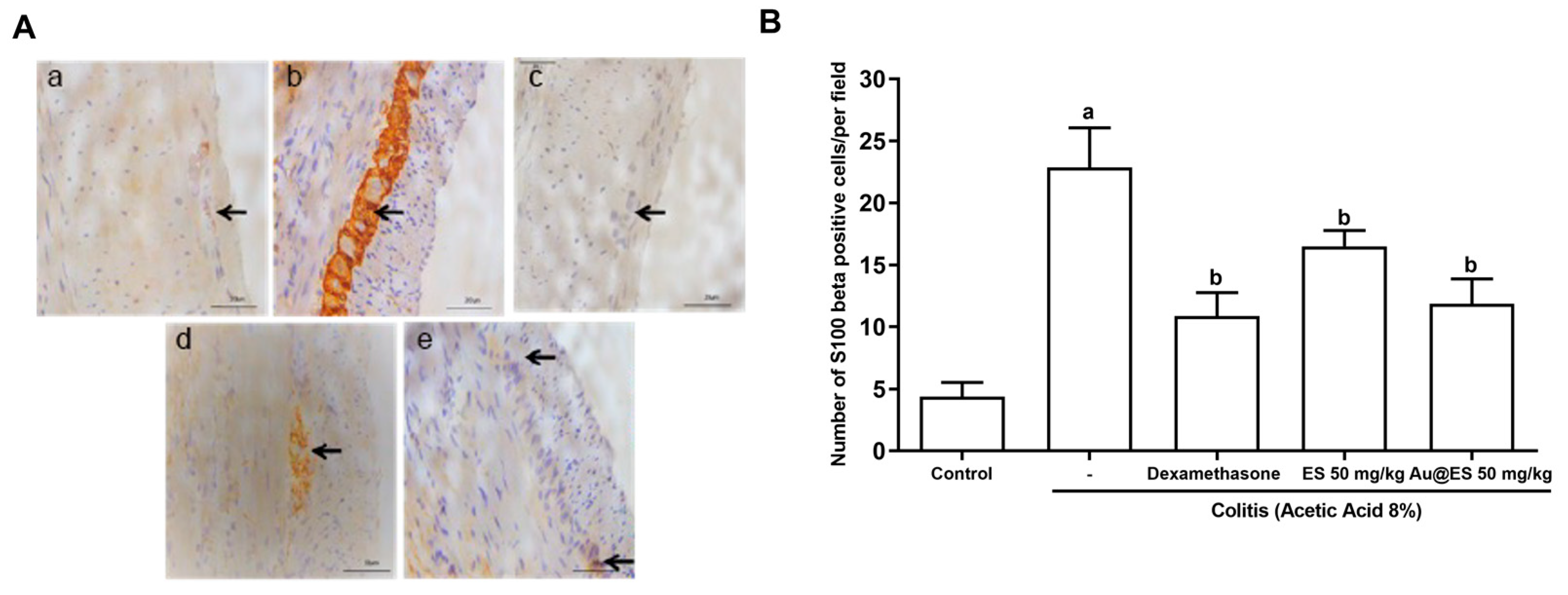 Antioxidants 13 00884 g010