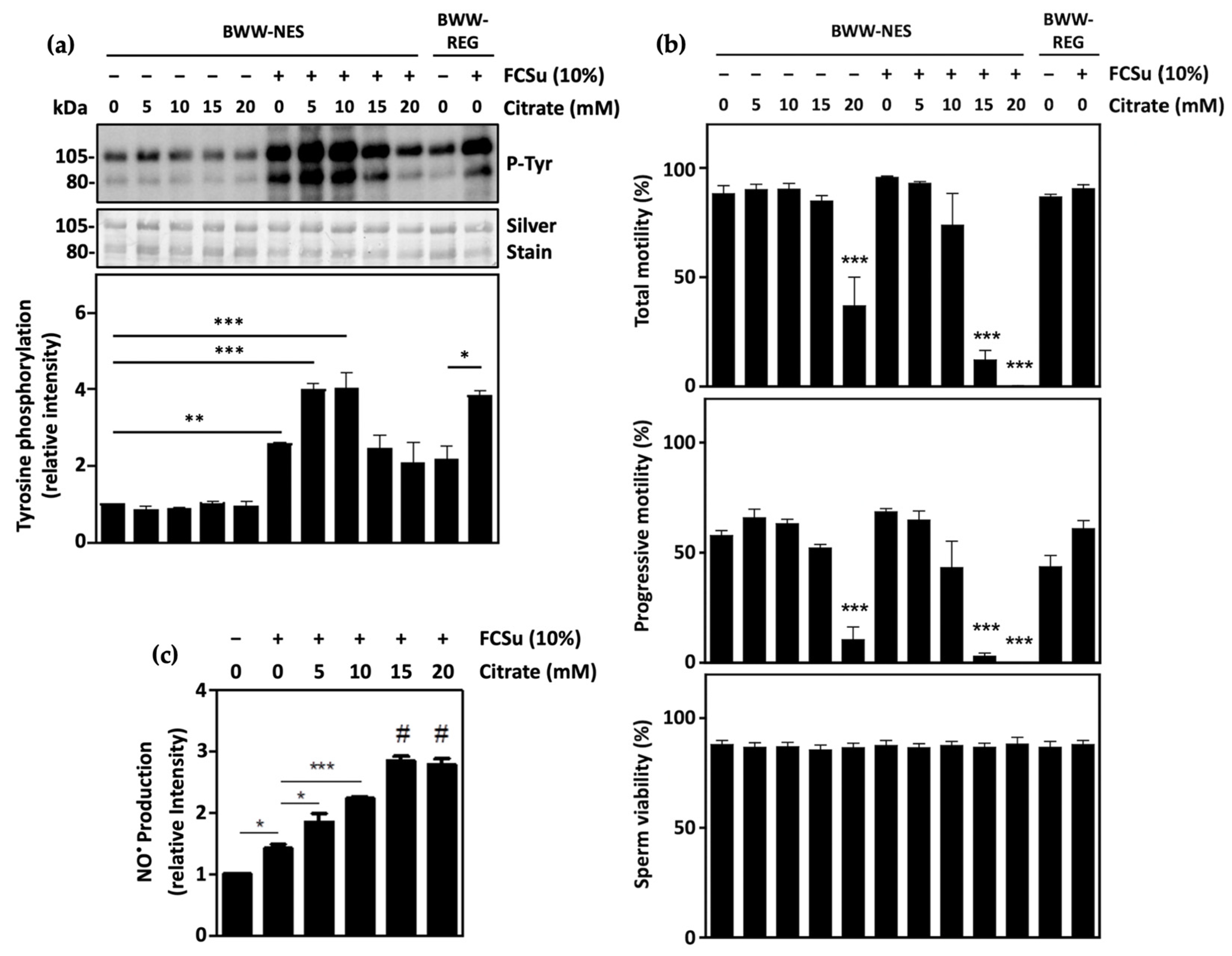 Antioxidants 13 00885 g001