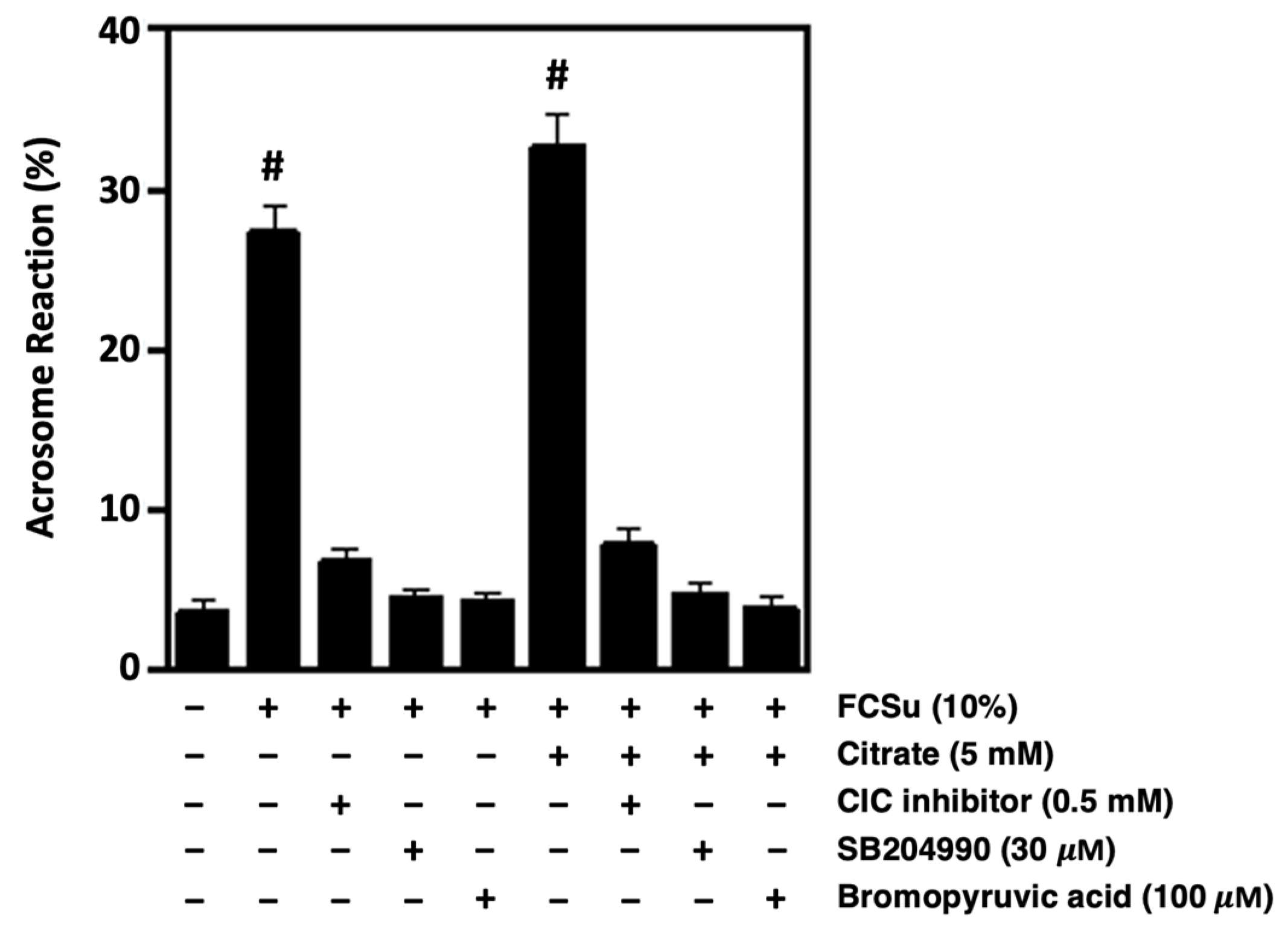 Antioxidants 13 00885 g007
