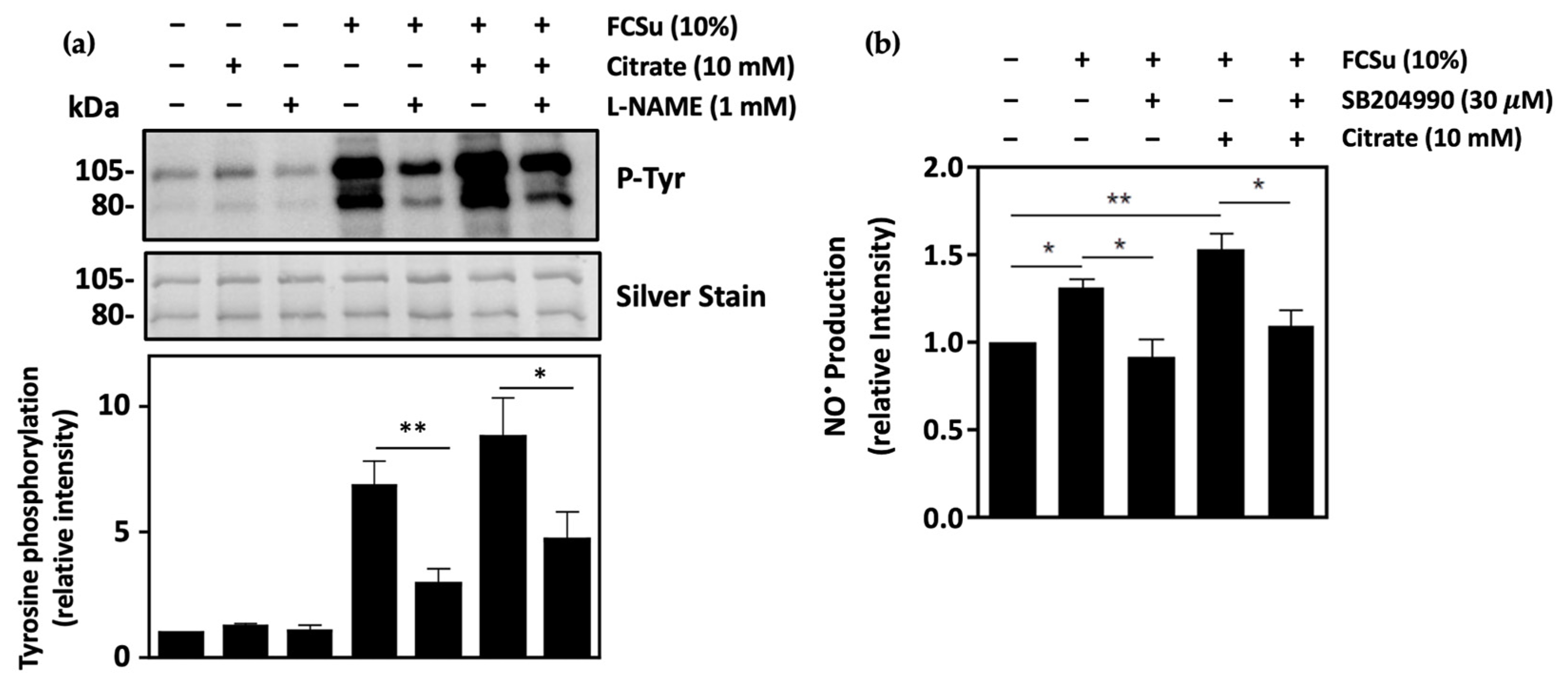 Antioxidants 13 00885 g008