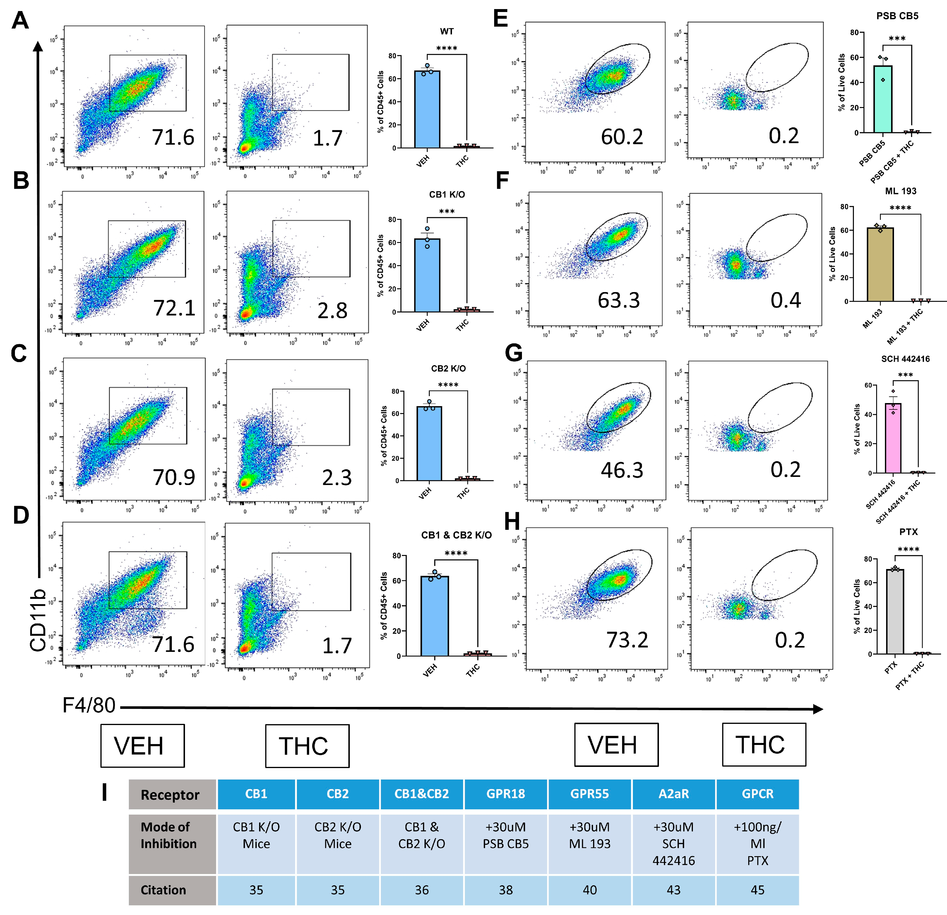 Antioxidants 13 00887 g002
