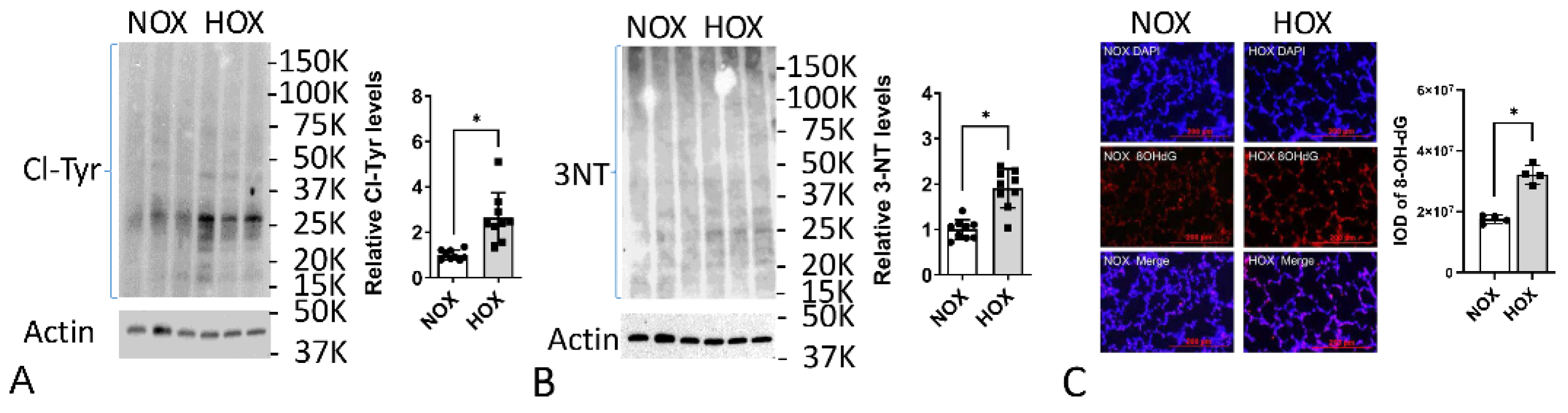 Antioxidants 13 00889 g006