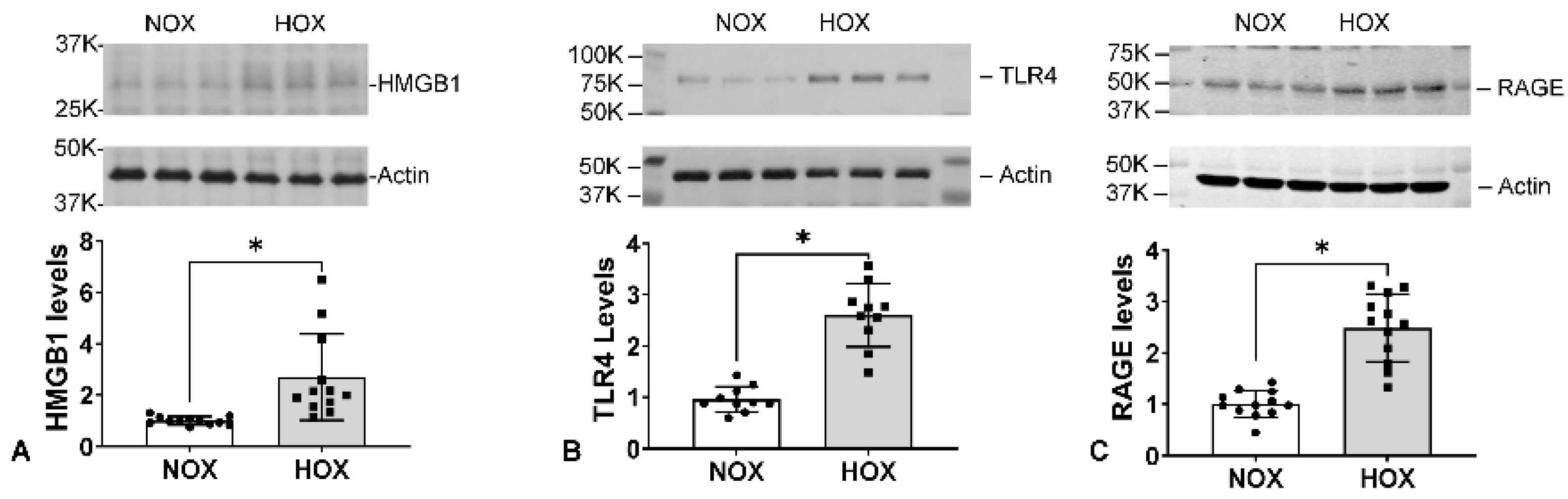 Antioxidants 13 00889 g009