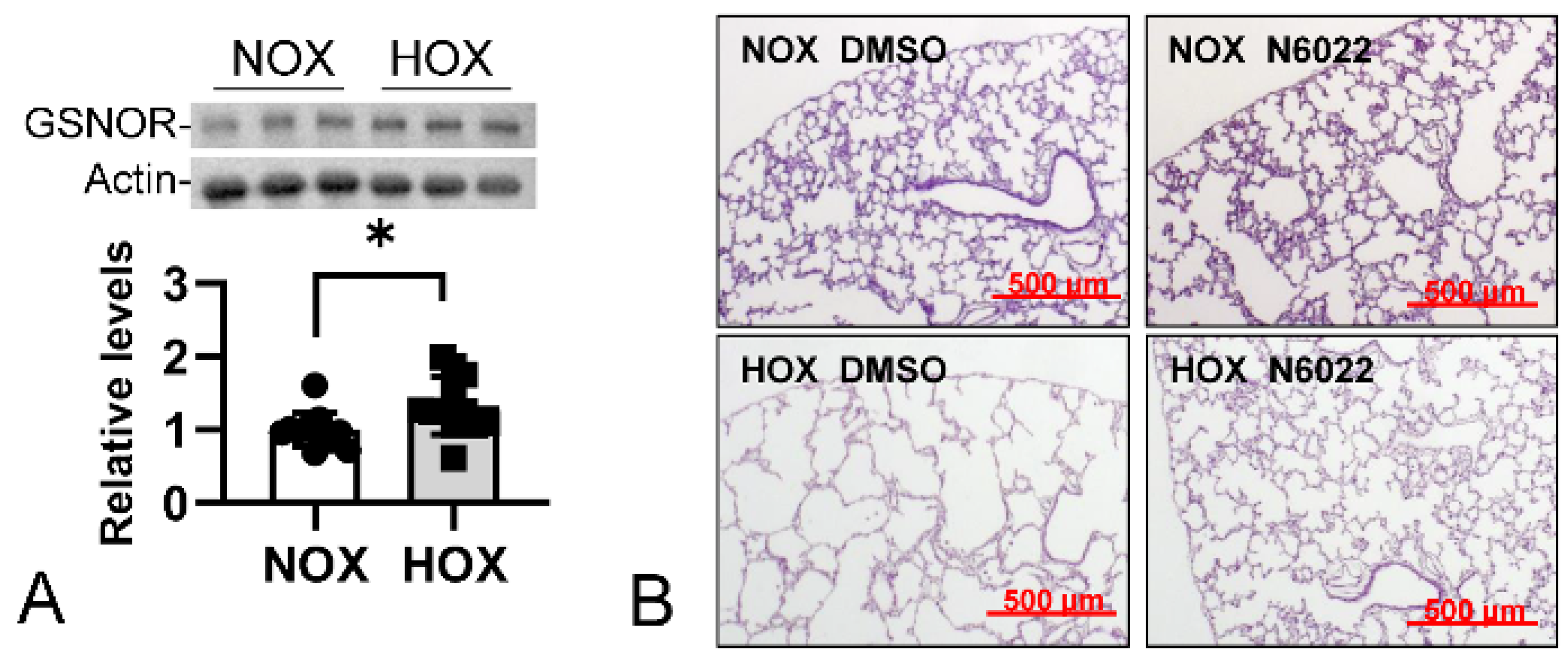 Antioxidants 13 00889 g010