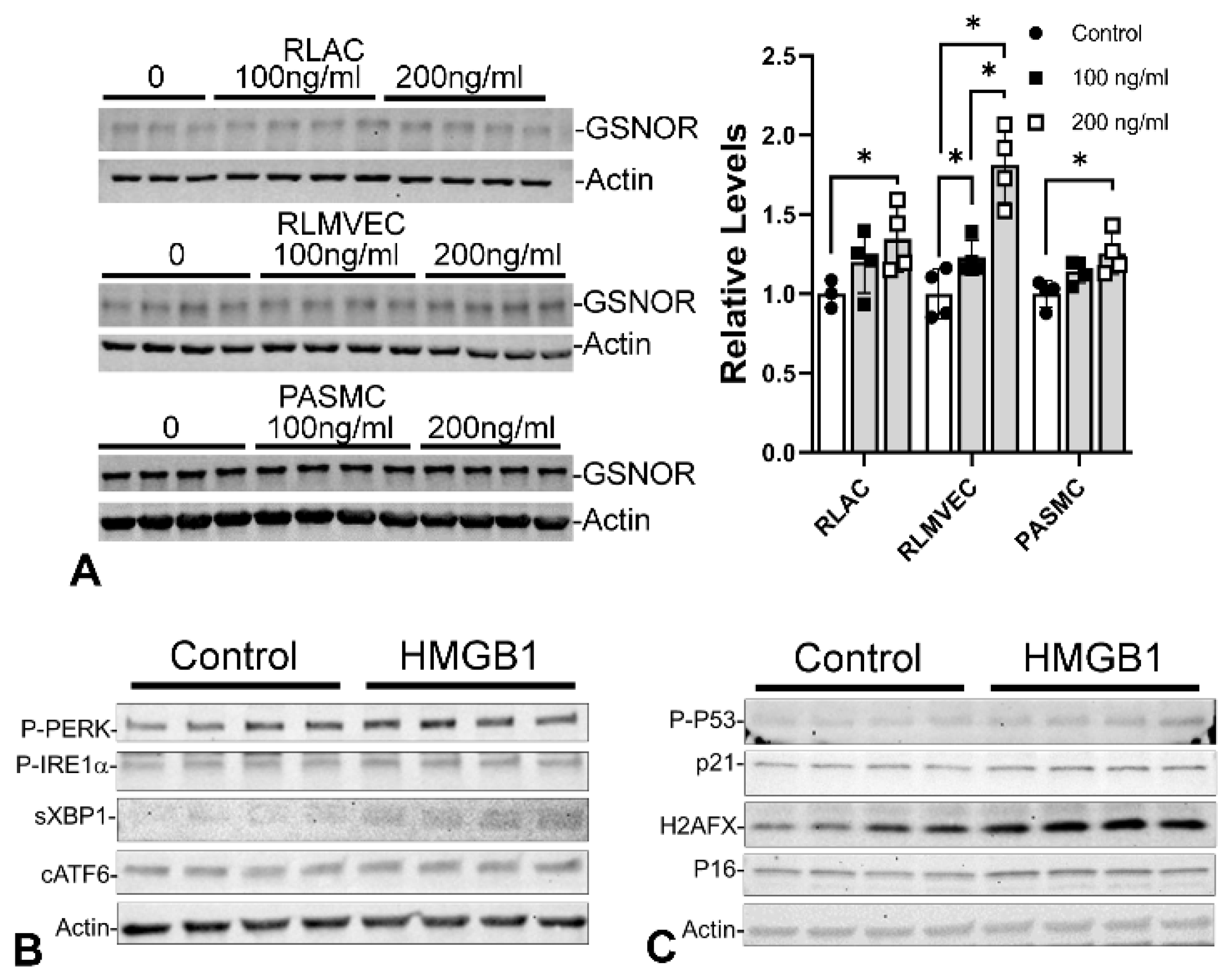 Antioxidants 13 00889 g011