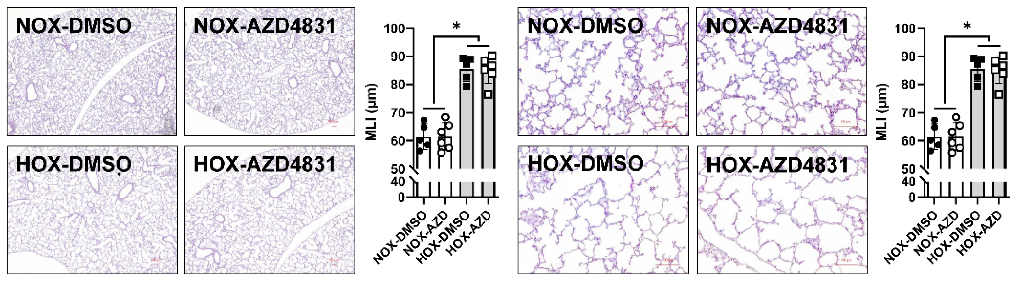 Antioxidants 13 00889 g015