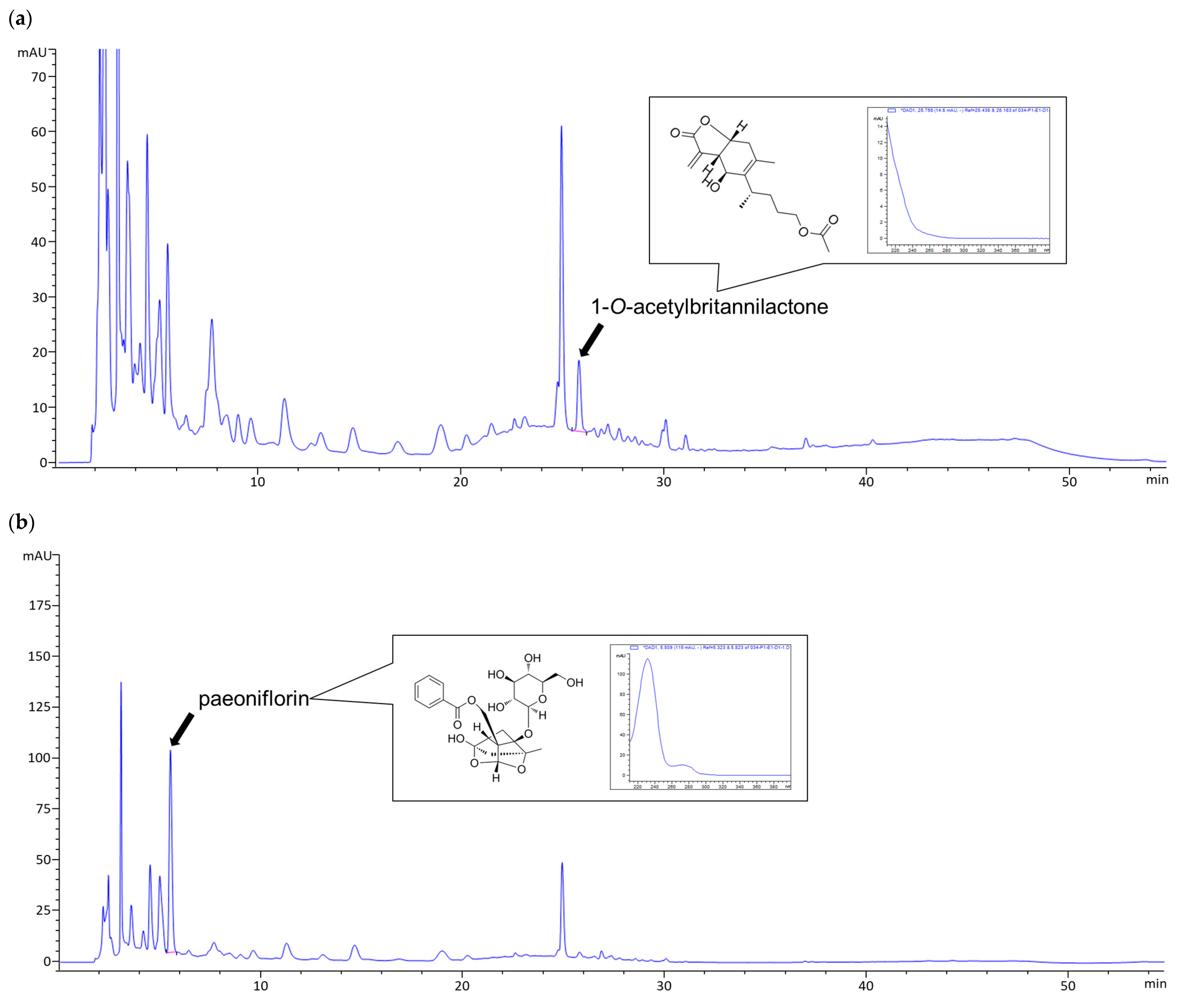 Antioxidants 13 00891 g001