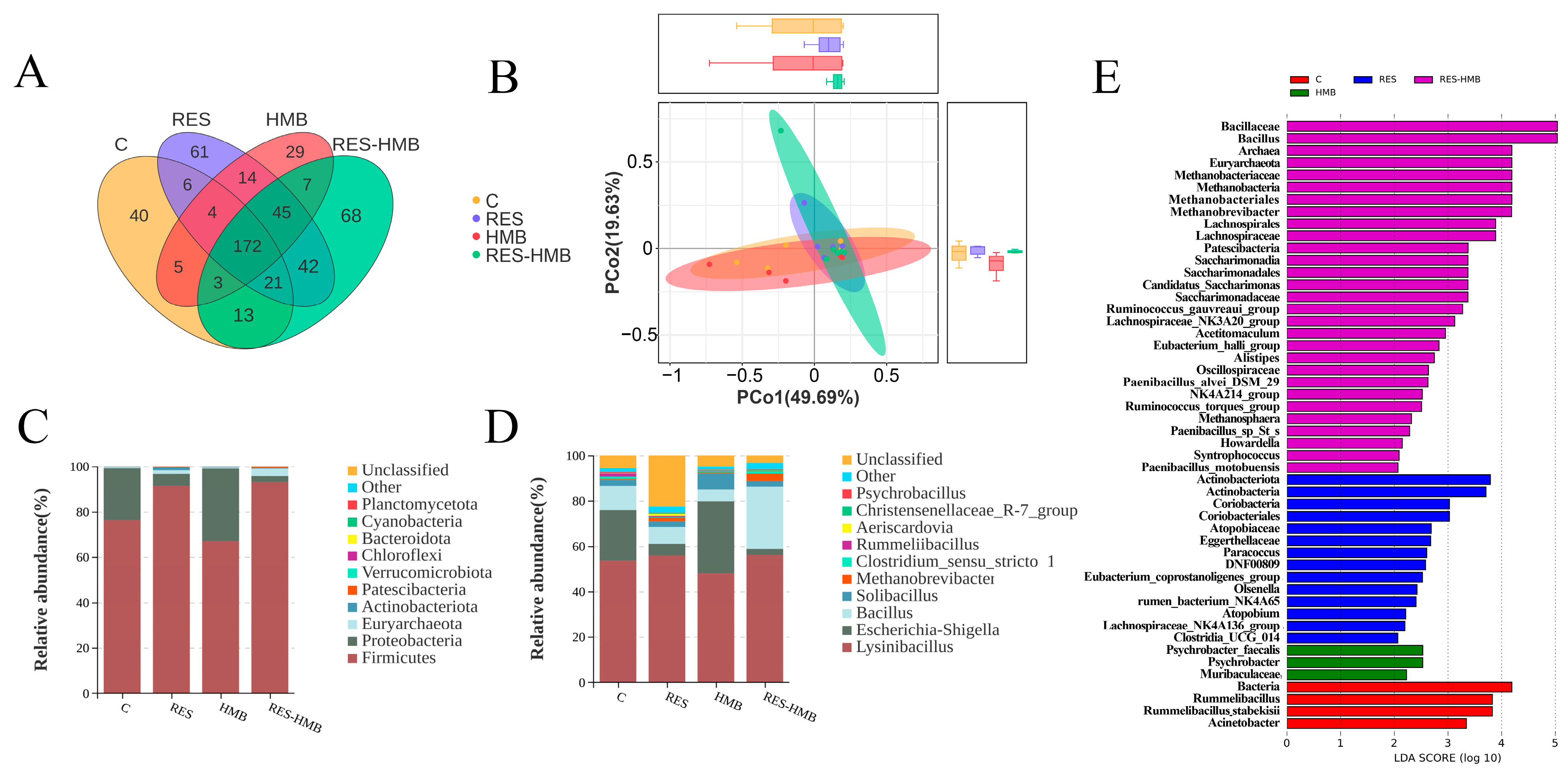 Antioxidants 13 00892 g004