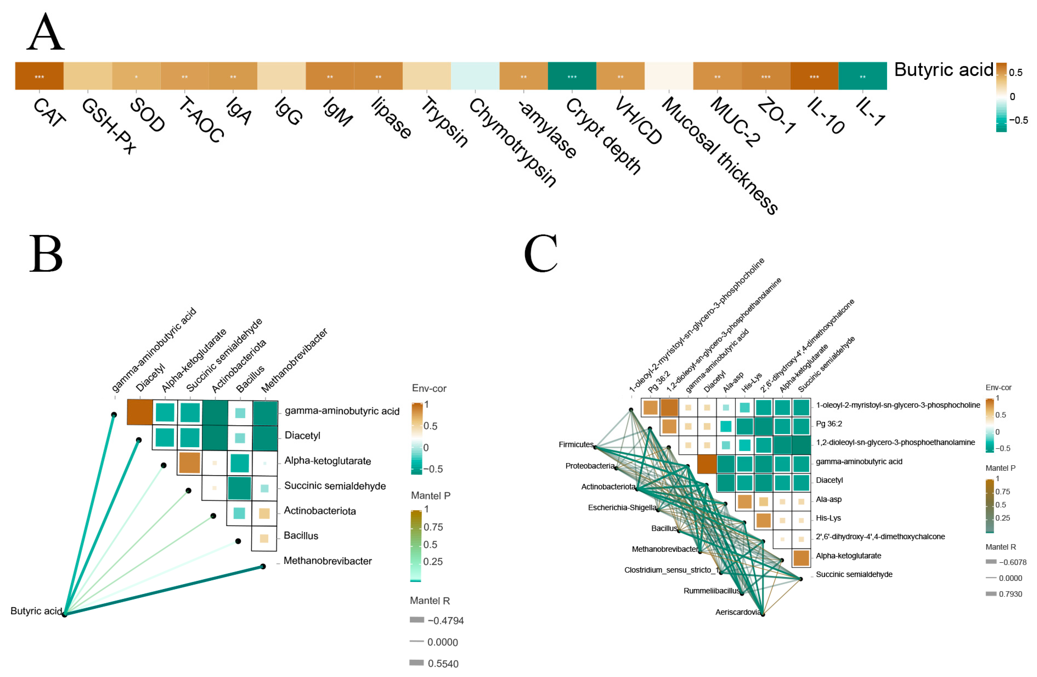 Antioxidants 13 00892 g008