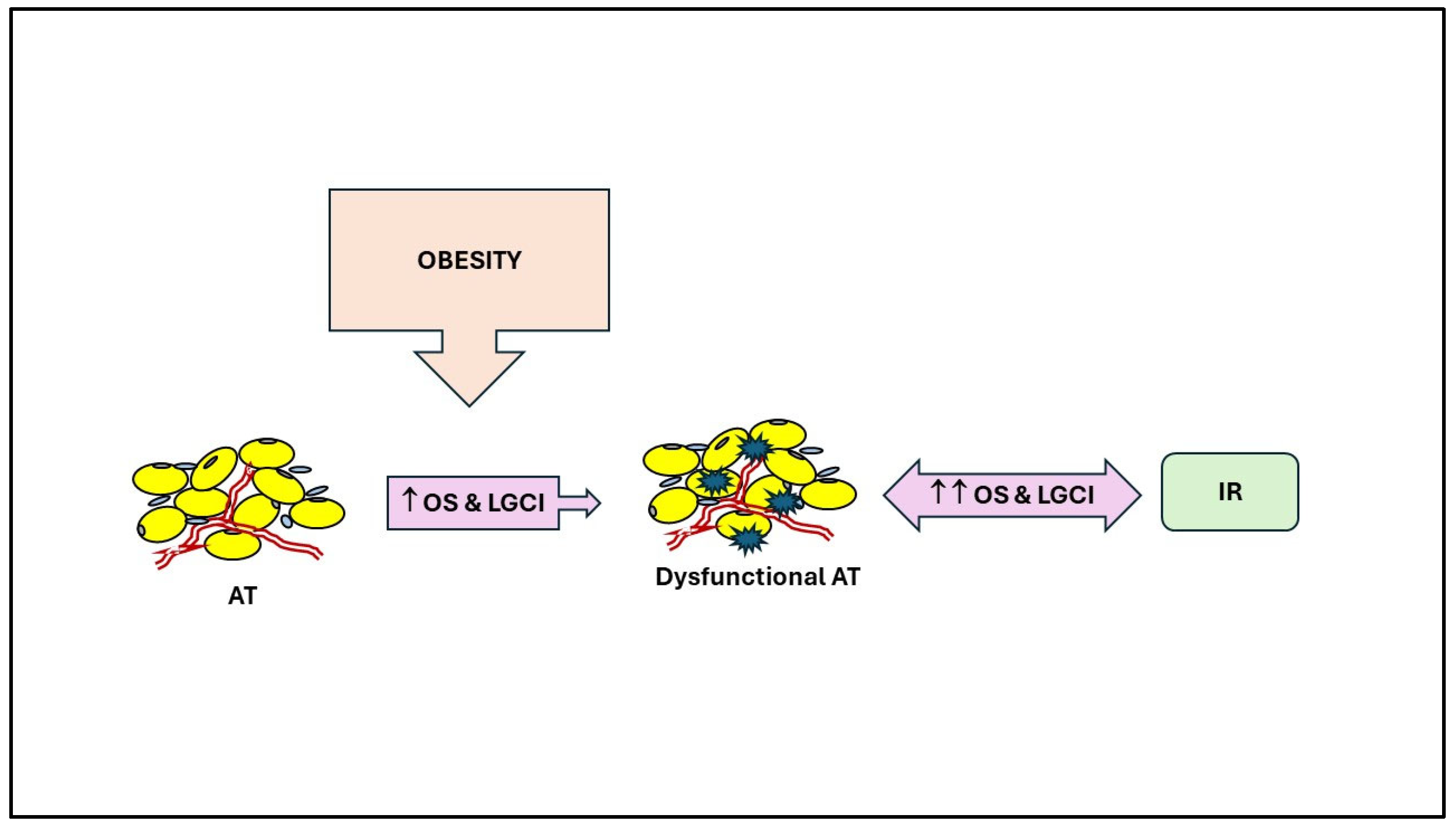 Antioxidants 13 00893 g001