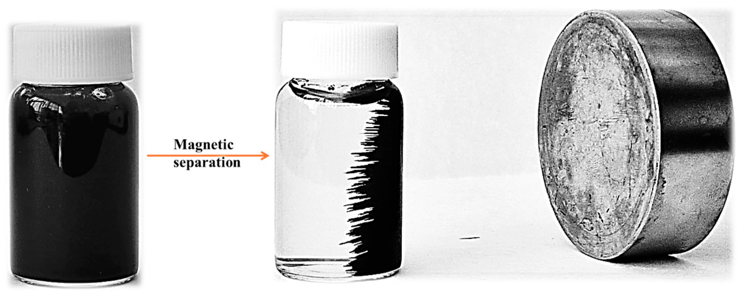 Antioxidants 13 00895 g001