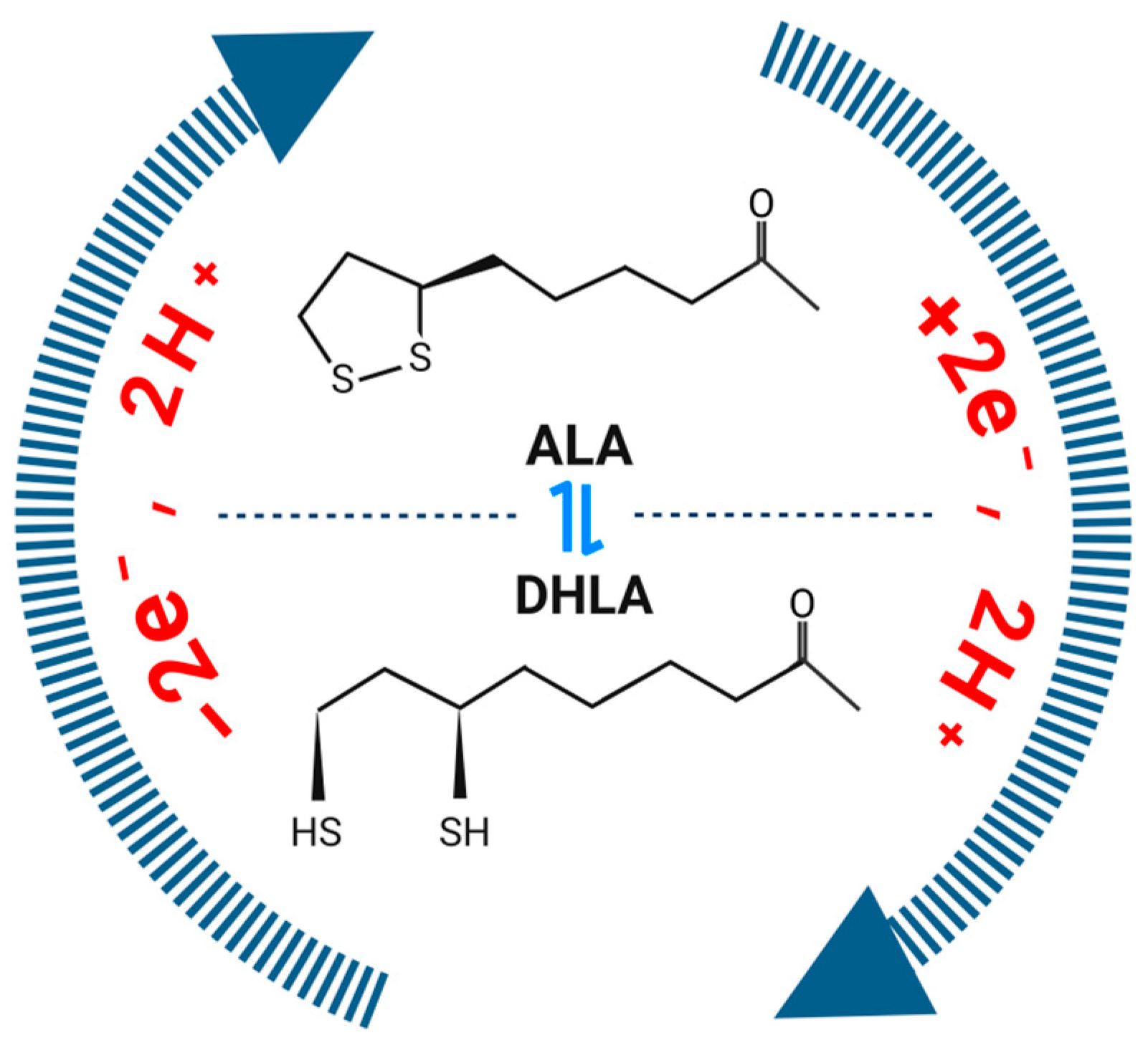 Antioxidants 13 00897 g001