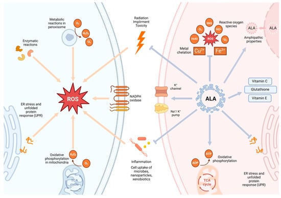 Antioxidants 13 00897 g002