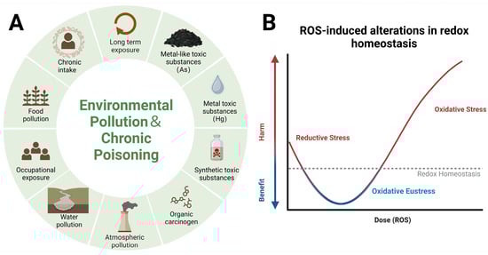 Antioxidants 13 00897 g003